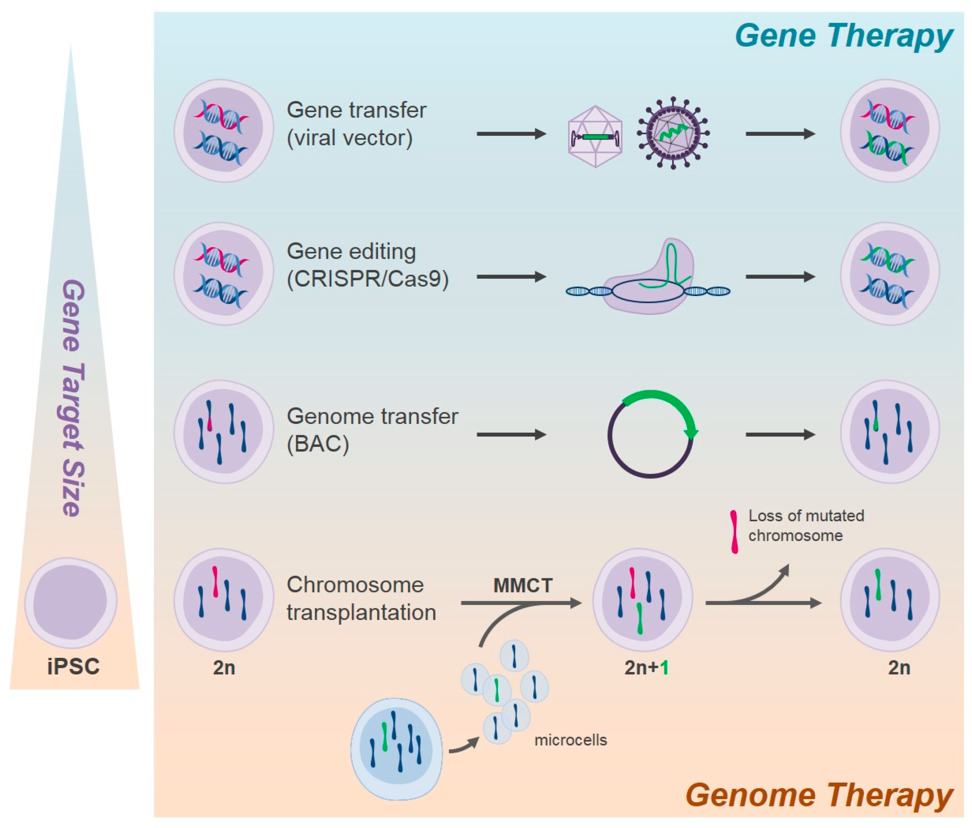 Cells 11 00557 g001 Cells 11 00557 g001