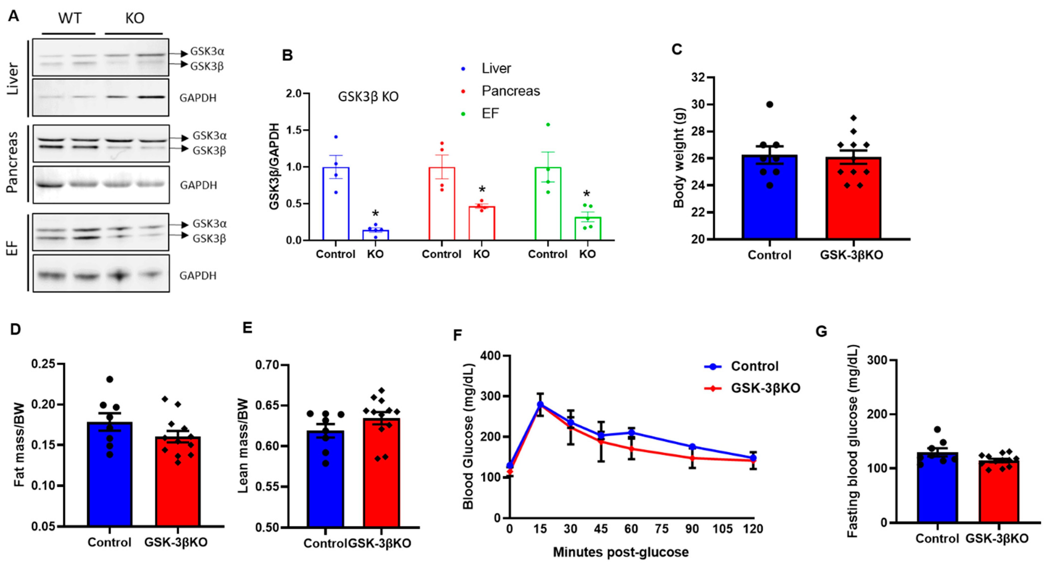 Cells 11 00559 g003 Cells 11 00559 g003
