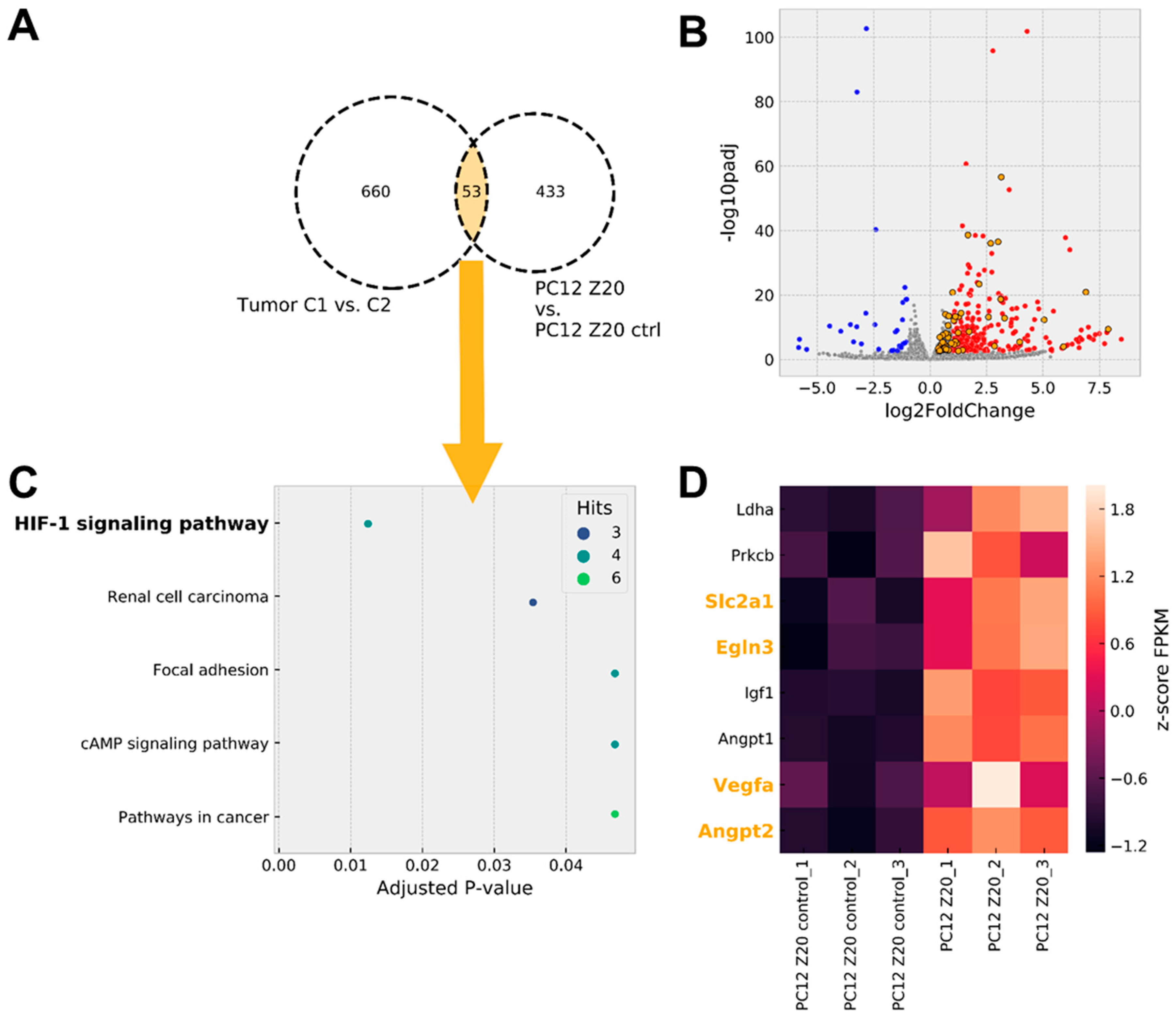 Cells 11 00560 g003 550