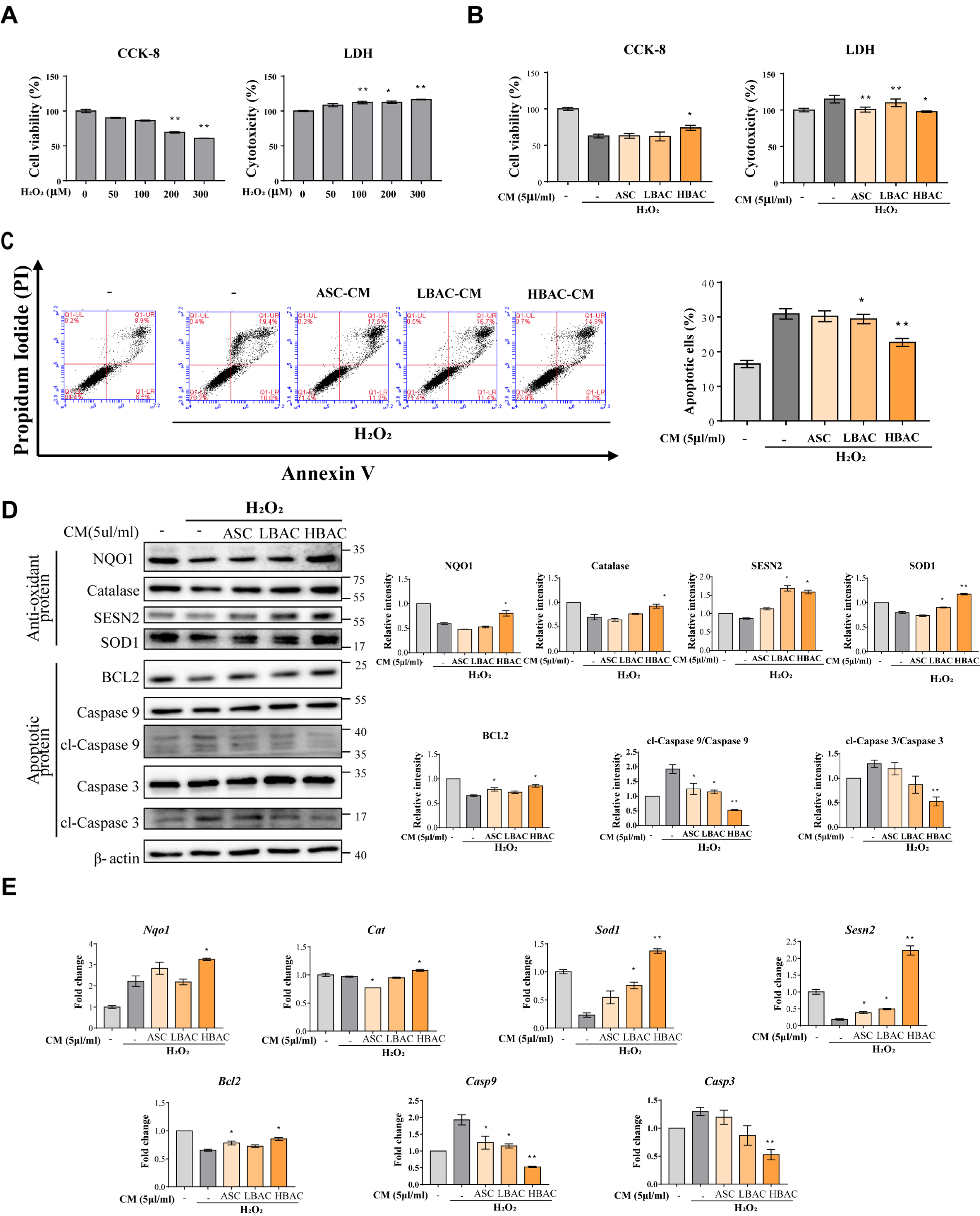 Cells 11 00567 g003 550