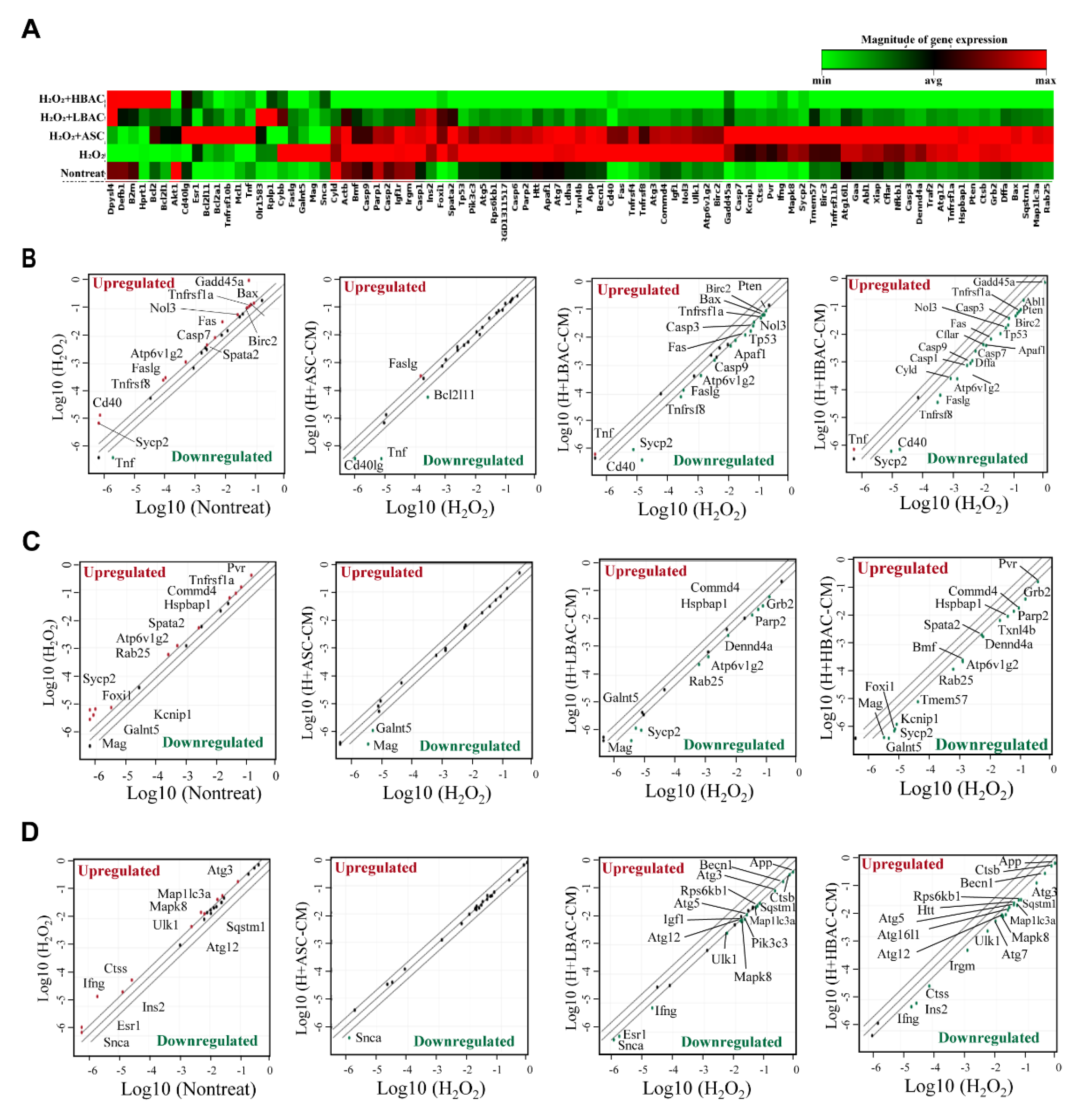 Cells 11 00567 g004 550