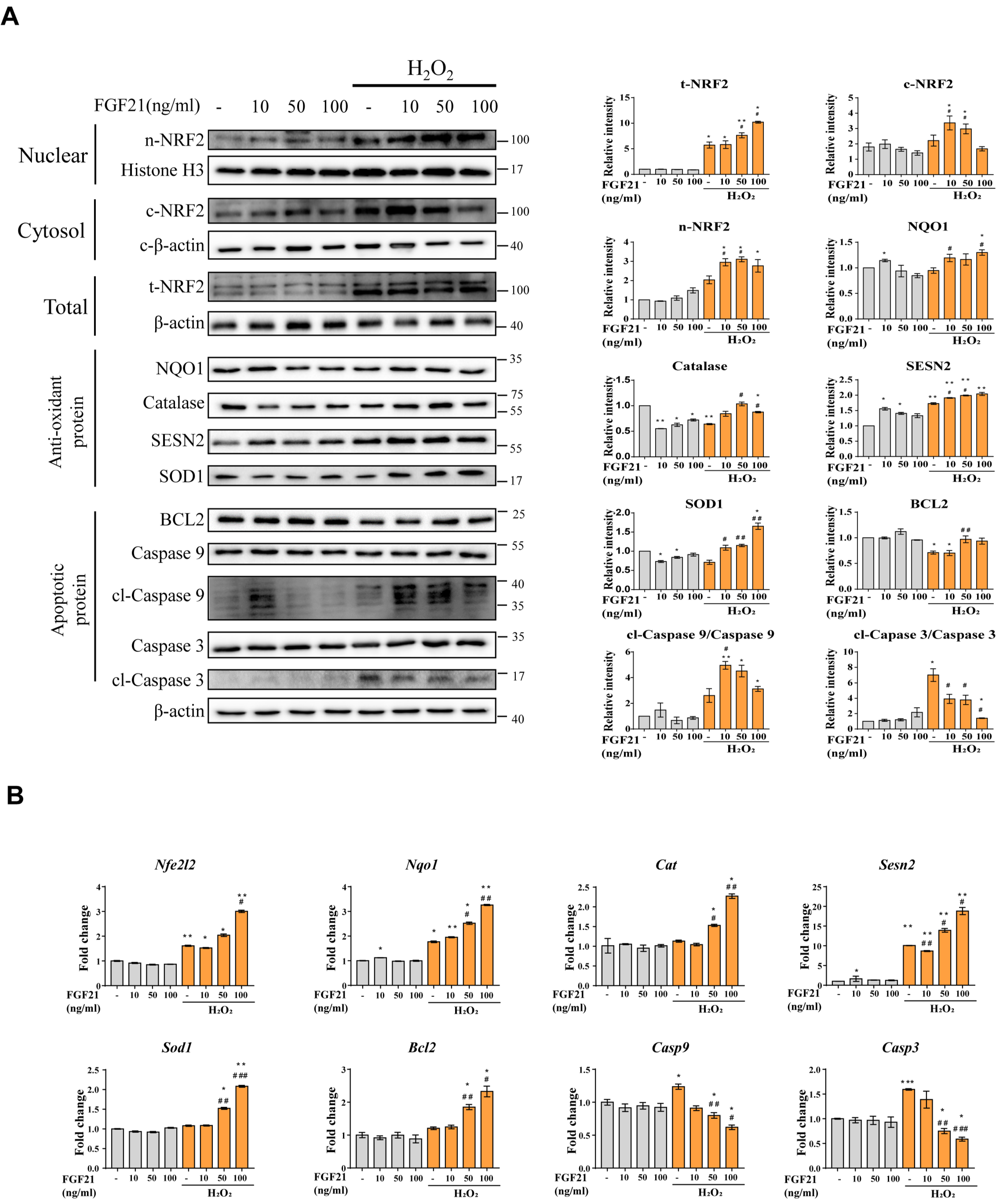 Cells 11 00567 g006 550