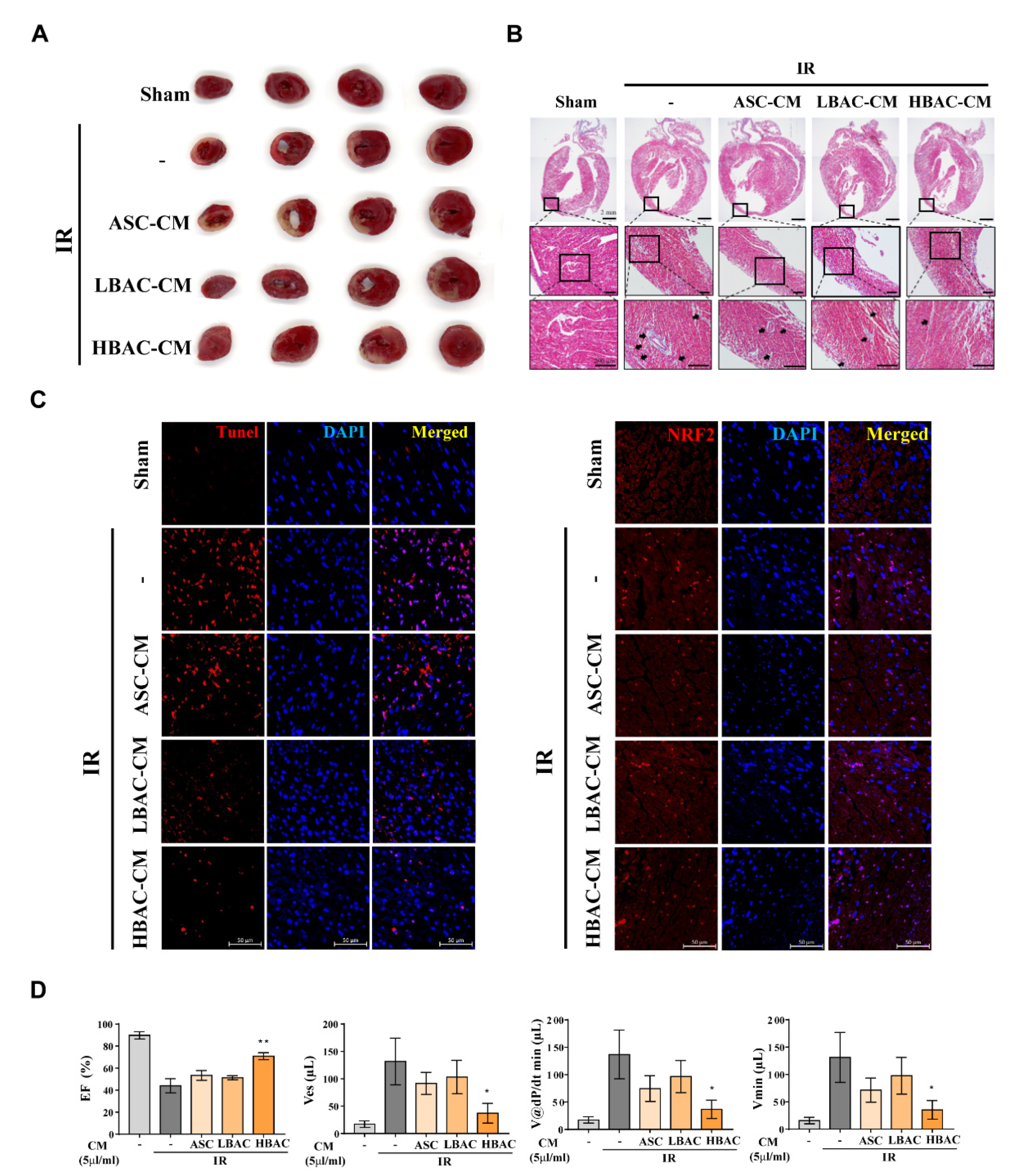 Cells 11 00567 g007 550