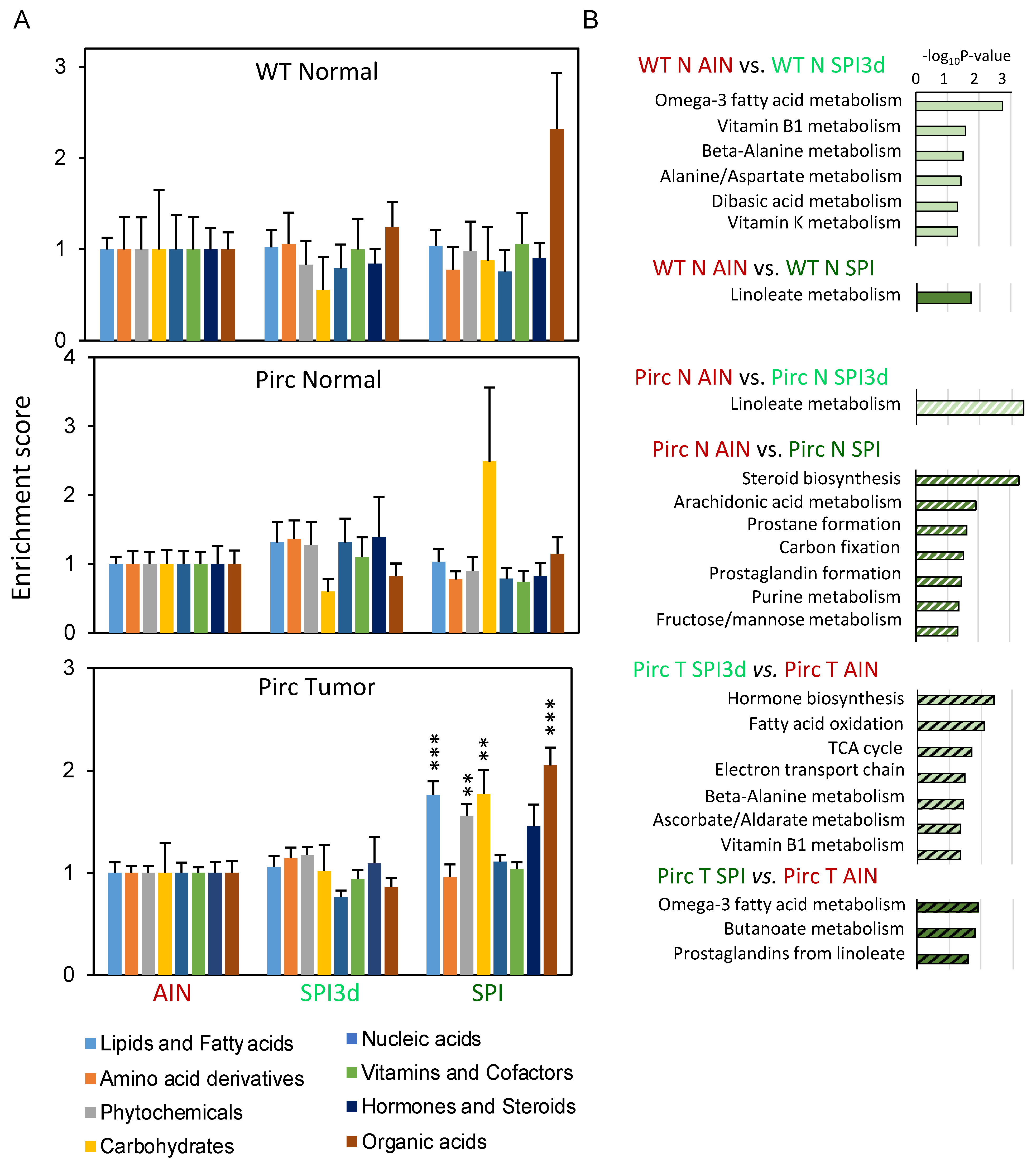 Cells 11 00573 g002 550