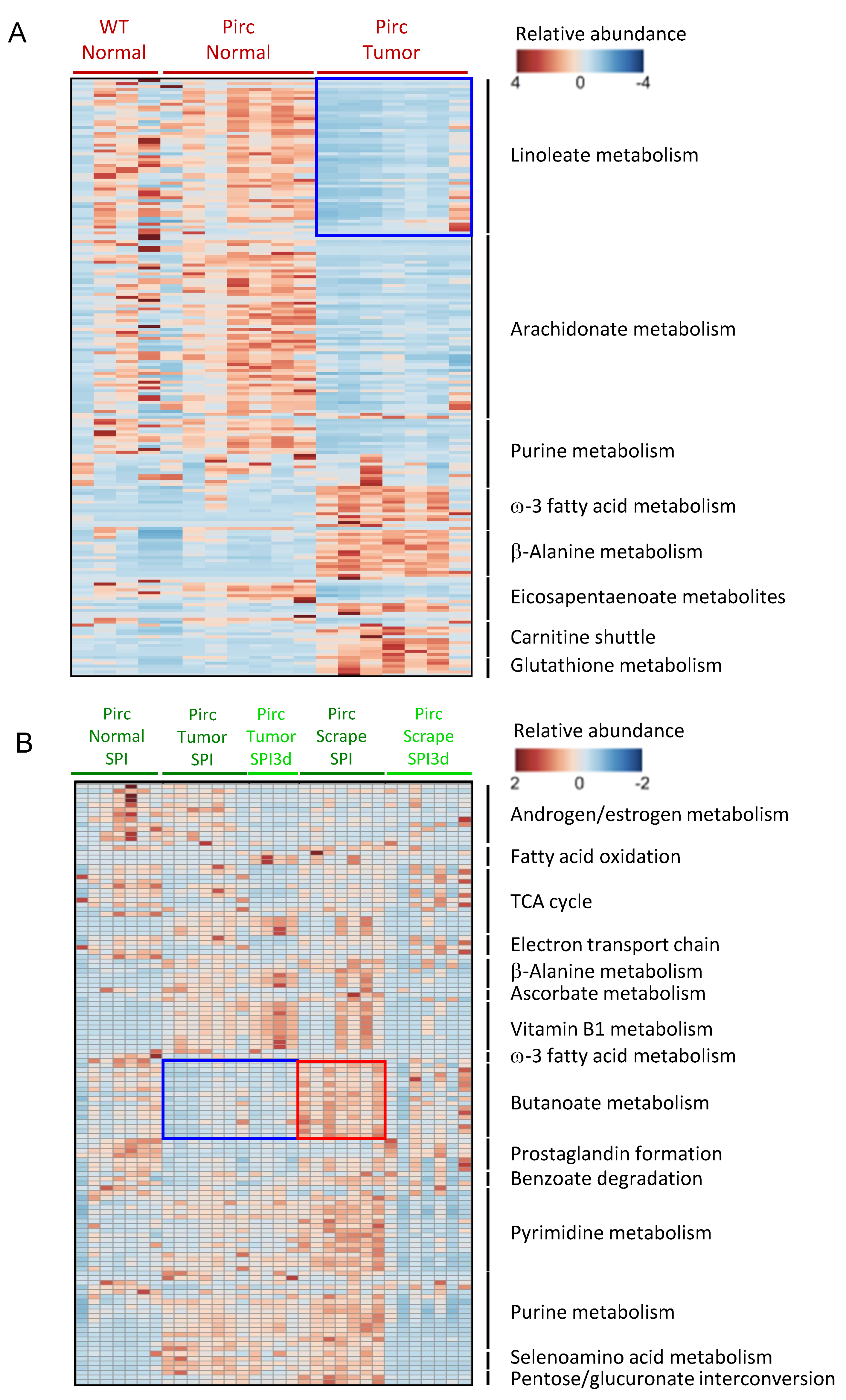 Cells 11 00573 g003 550