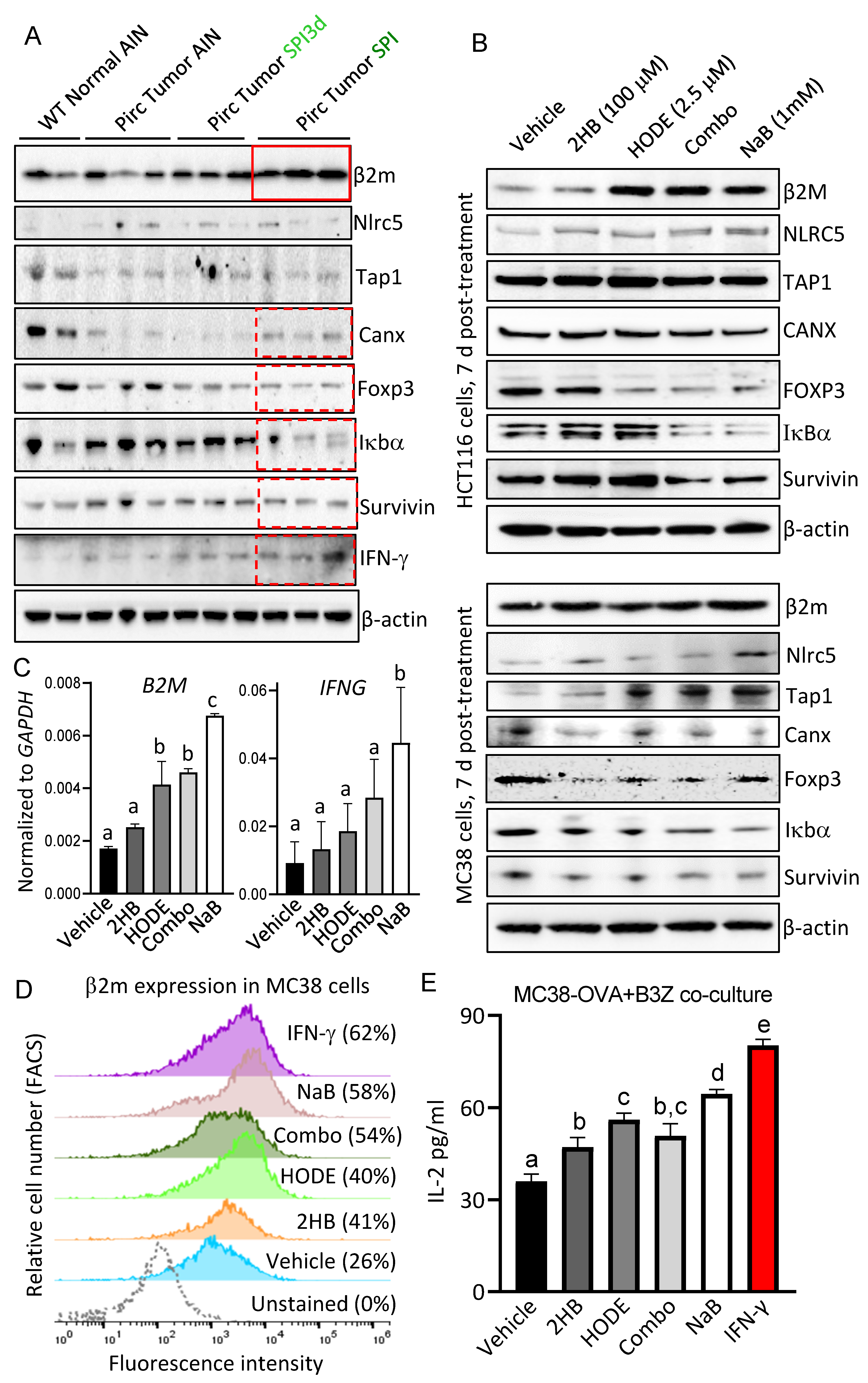 Cells 11 00573 g008 550