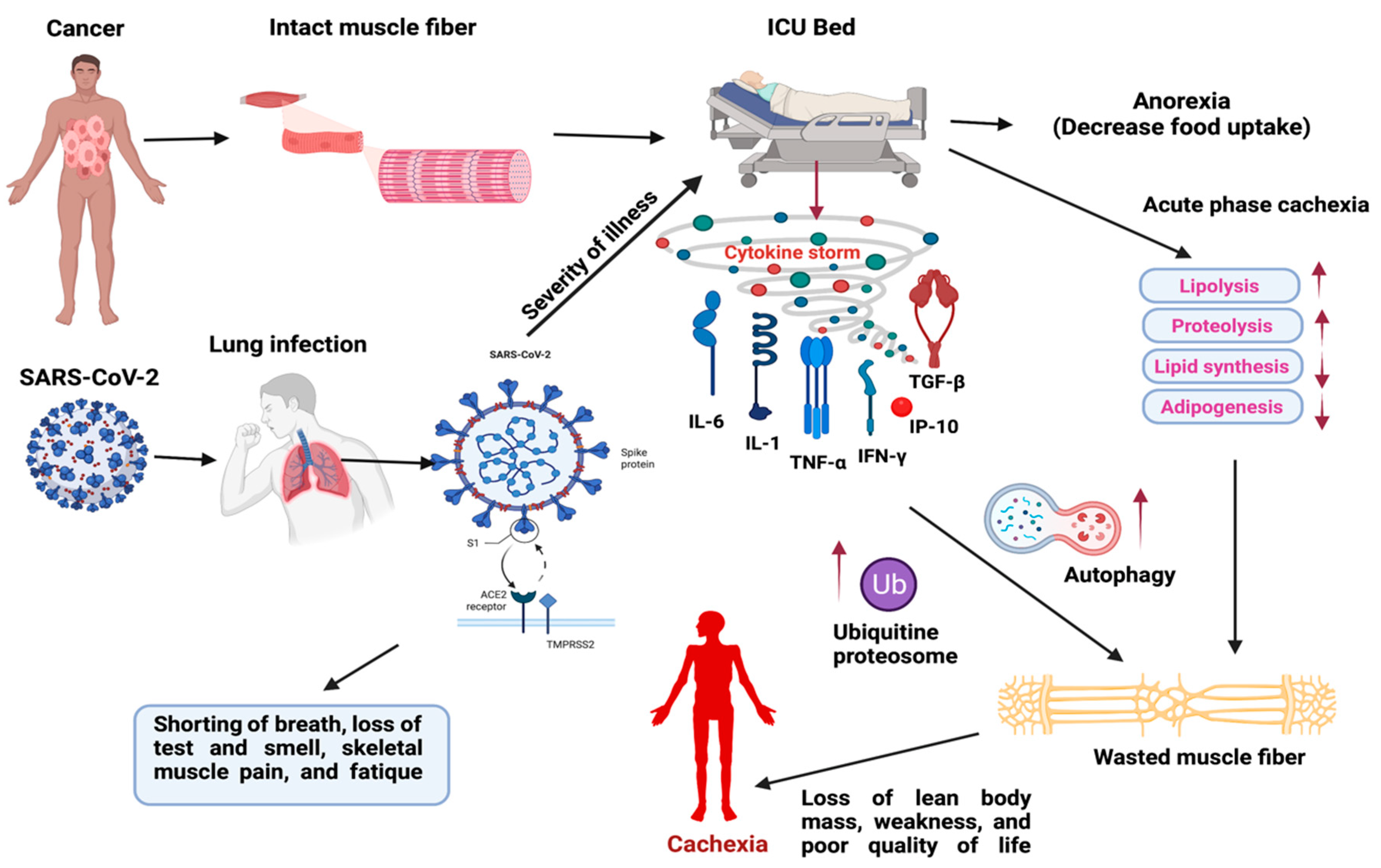 Cells 11 00579 g001 Cells 11 00579 g001