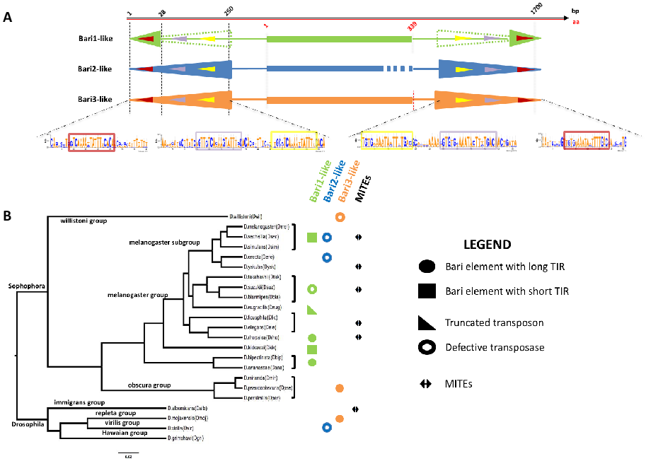 Cells 11 00583 g001 Cells 11 00583 g001