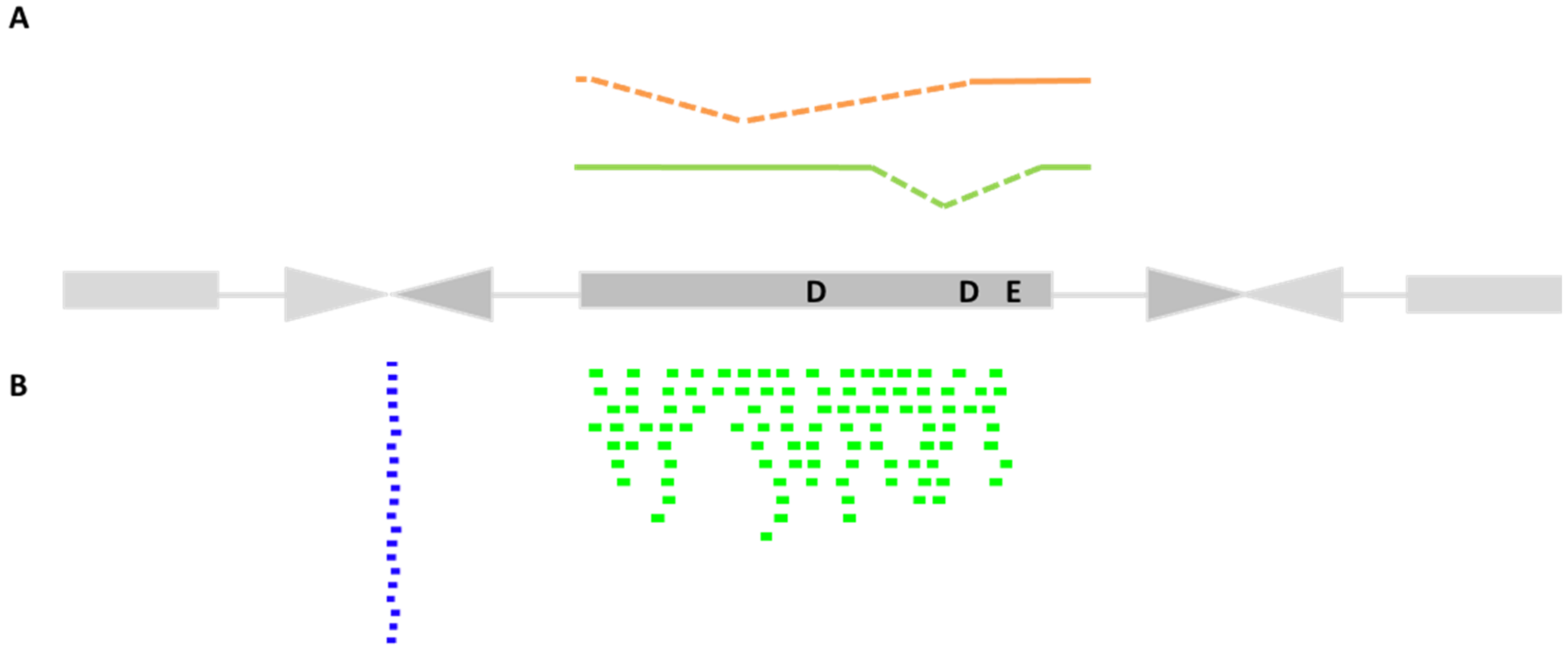 Cells 11 00583 g002 Cells 11 00583 g002