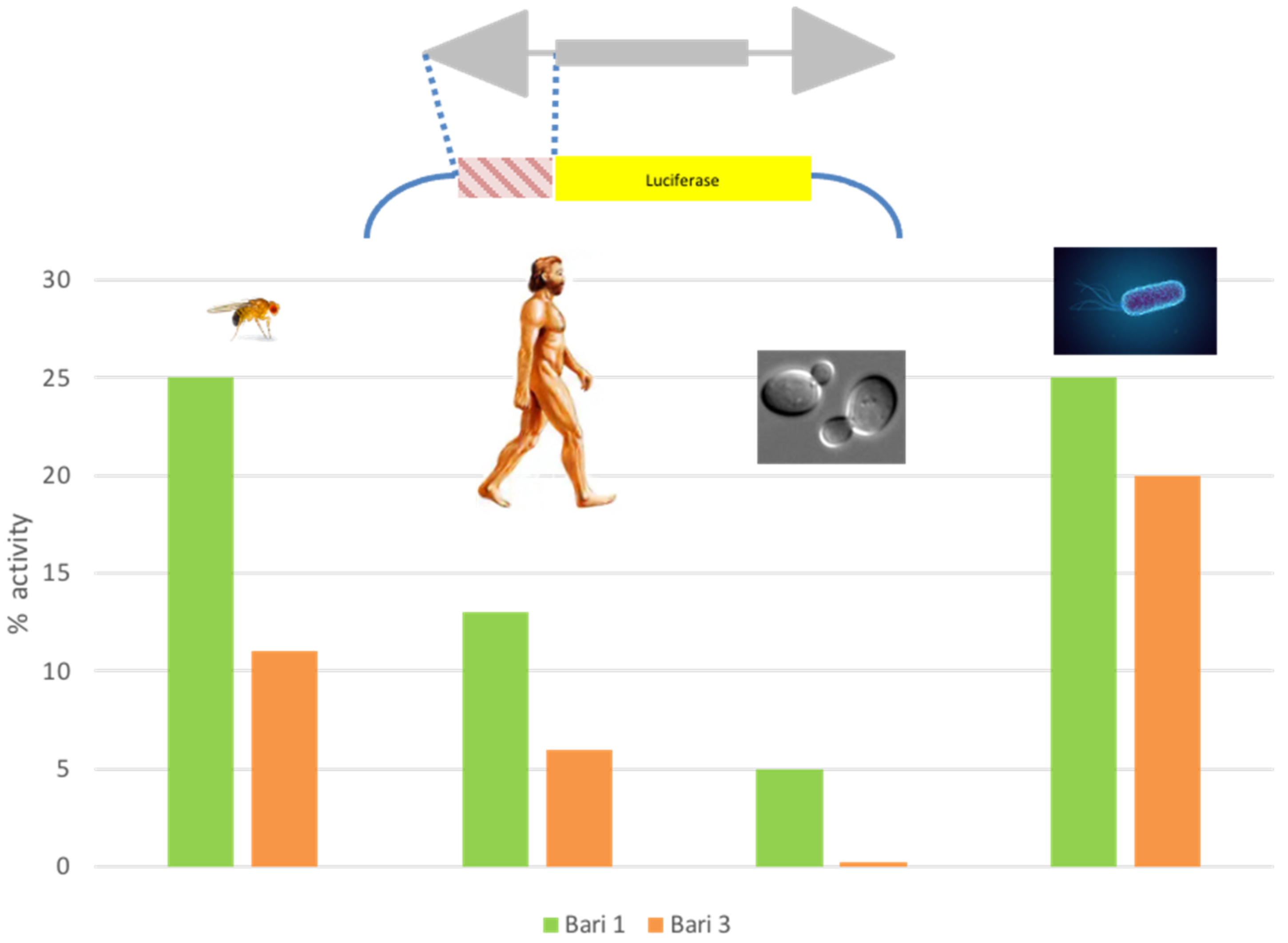 Cells 11 00583 g003 Cells 11 00583 g003