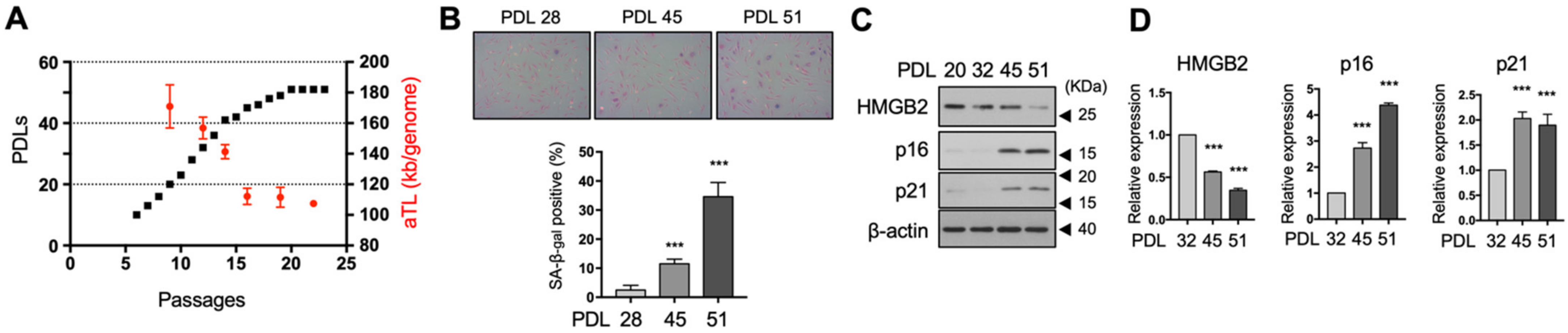 Cells 11 00584 g001 Cells 11 00584 g001