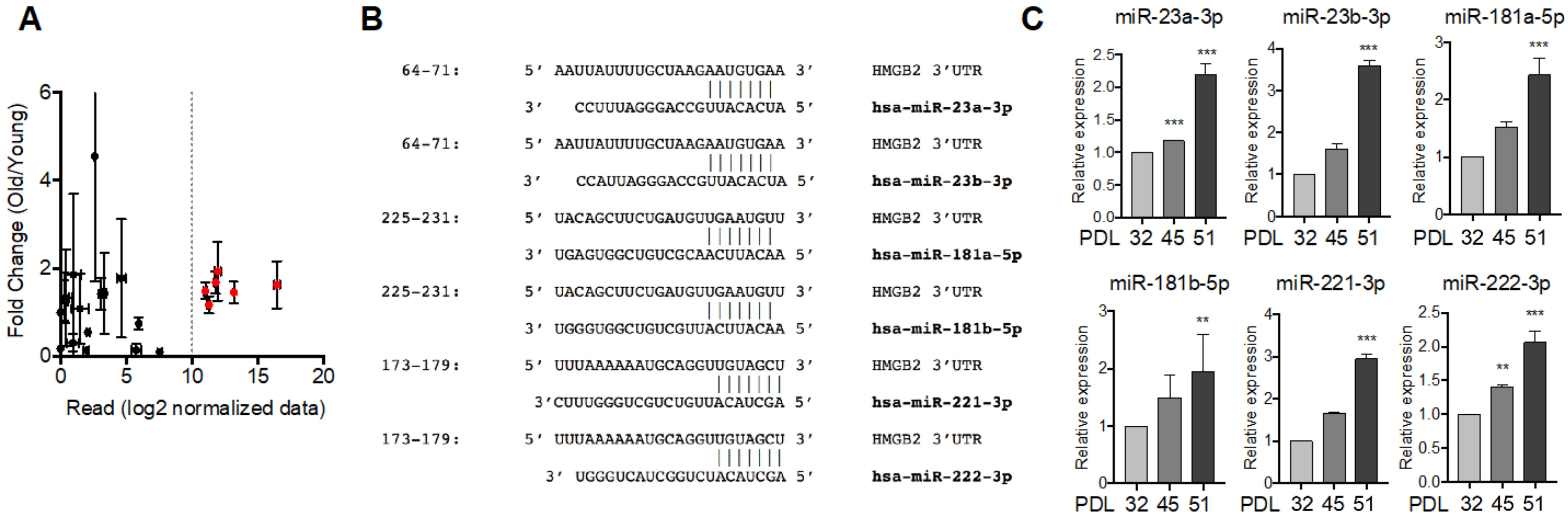 Cells 11 00584 g004 Cells 11 00584 g004