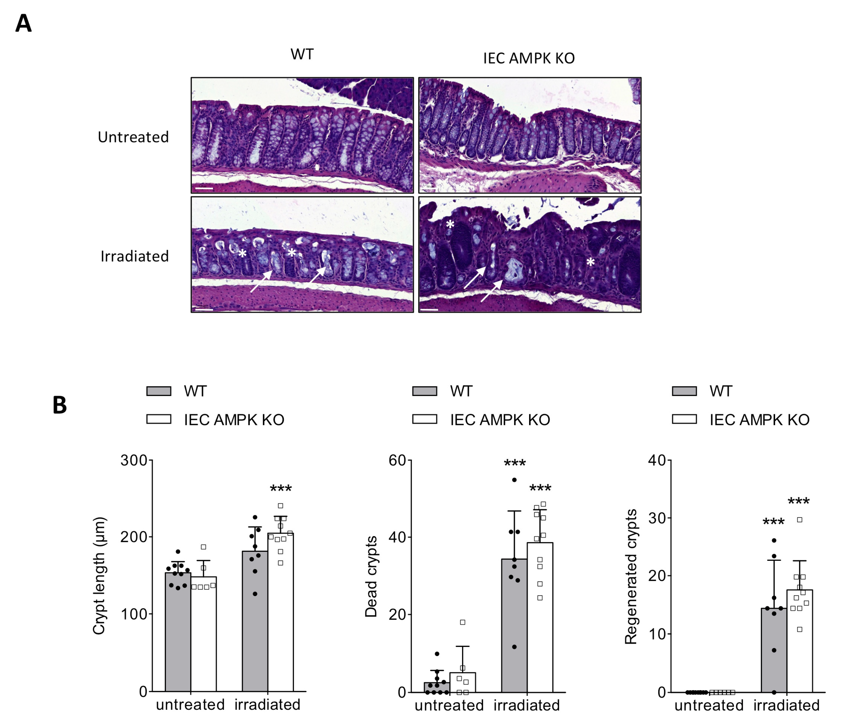 Cells 11 00590 g003a