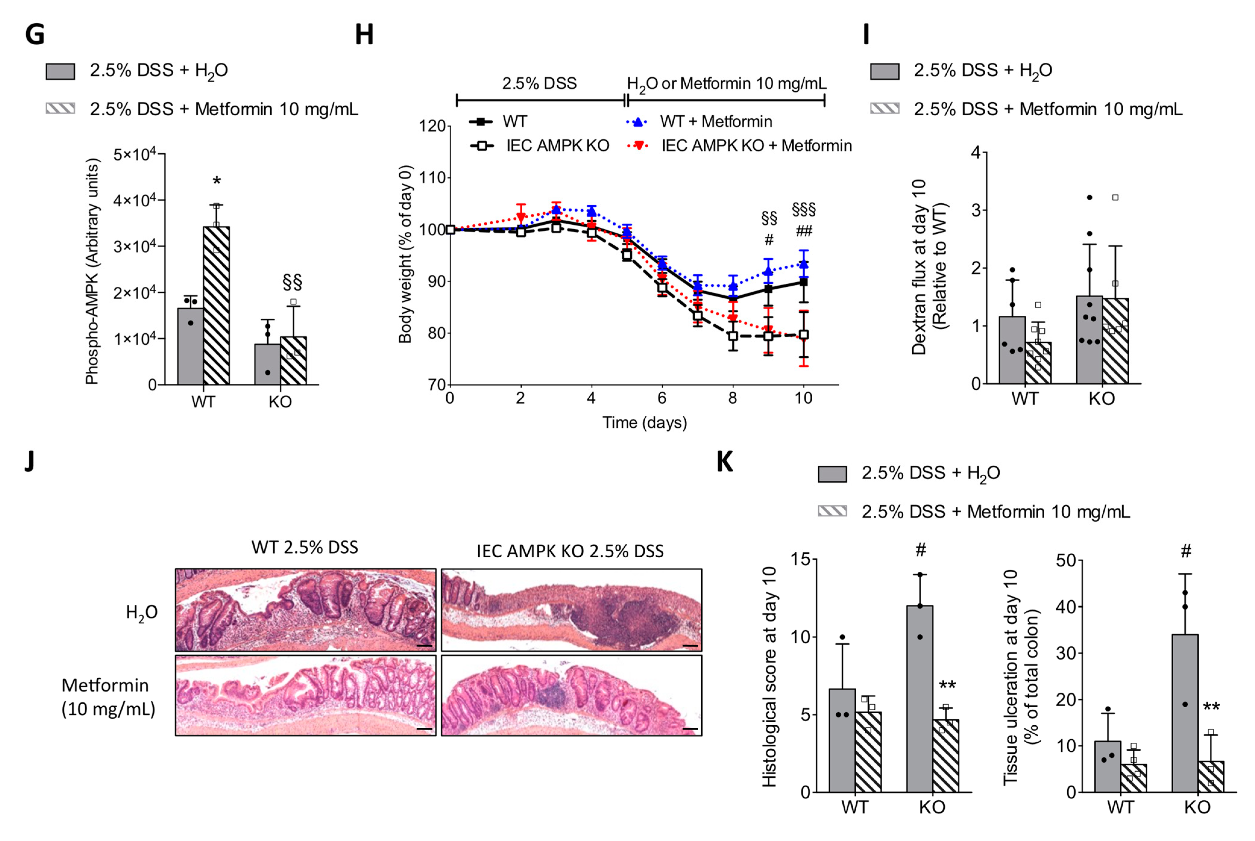 Cells 11 00590 g006b