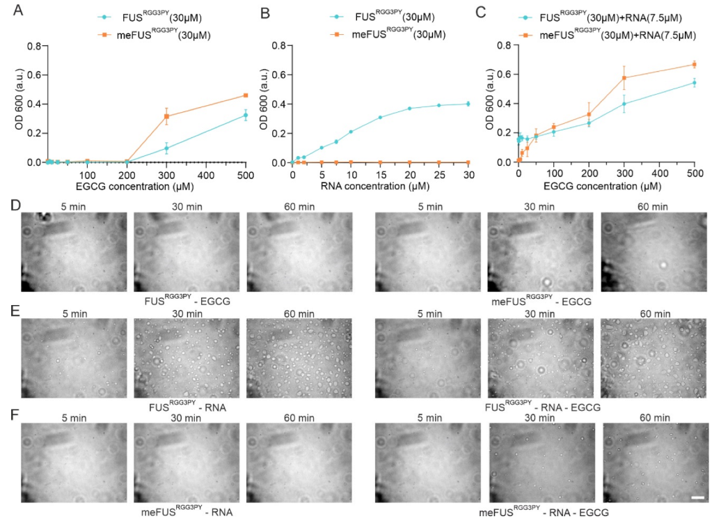 Cells 11 00592 g005 550