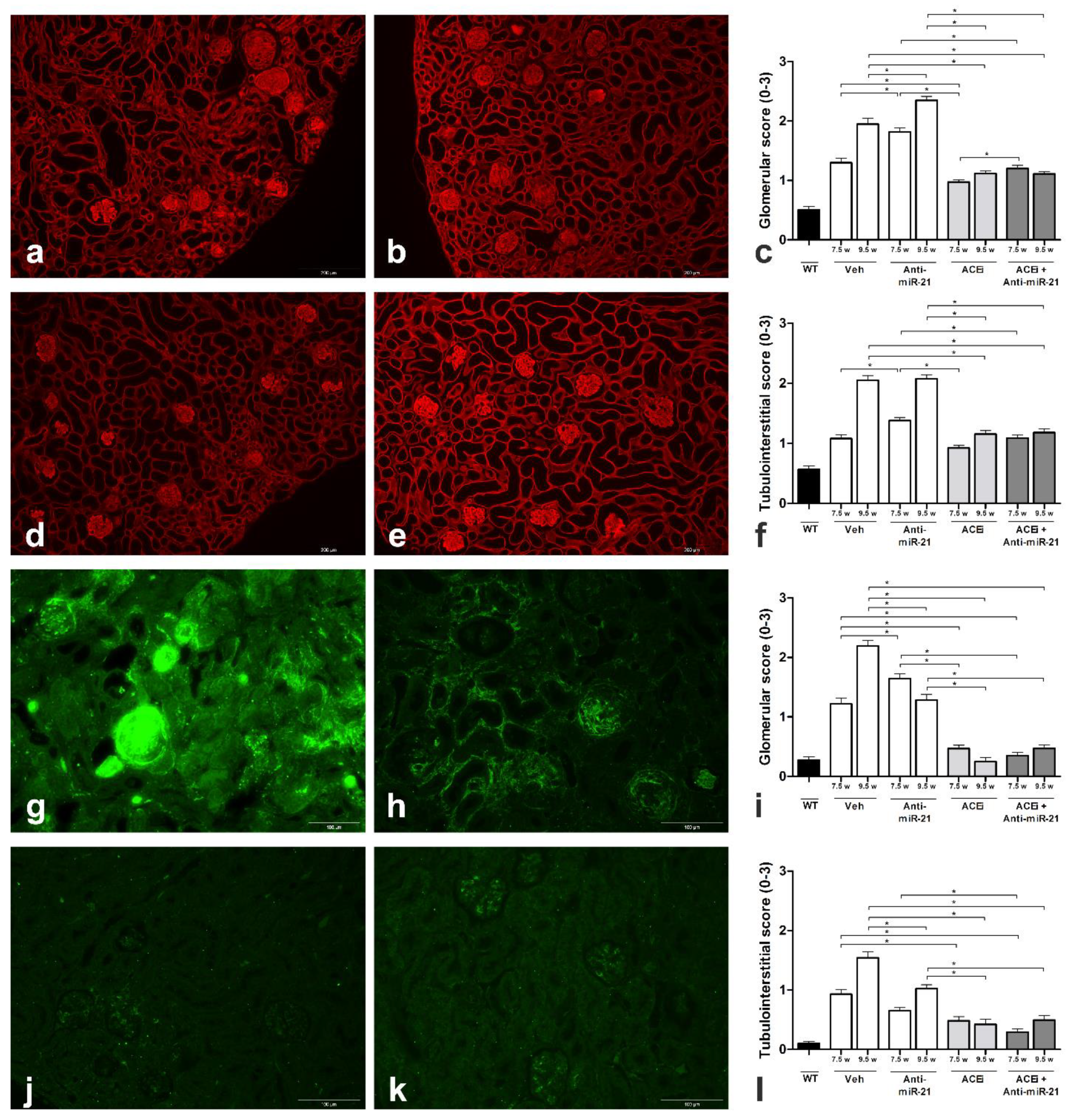 Cells 11 00594 g002 Cells 11 00594 g002