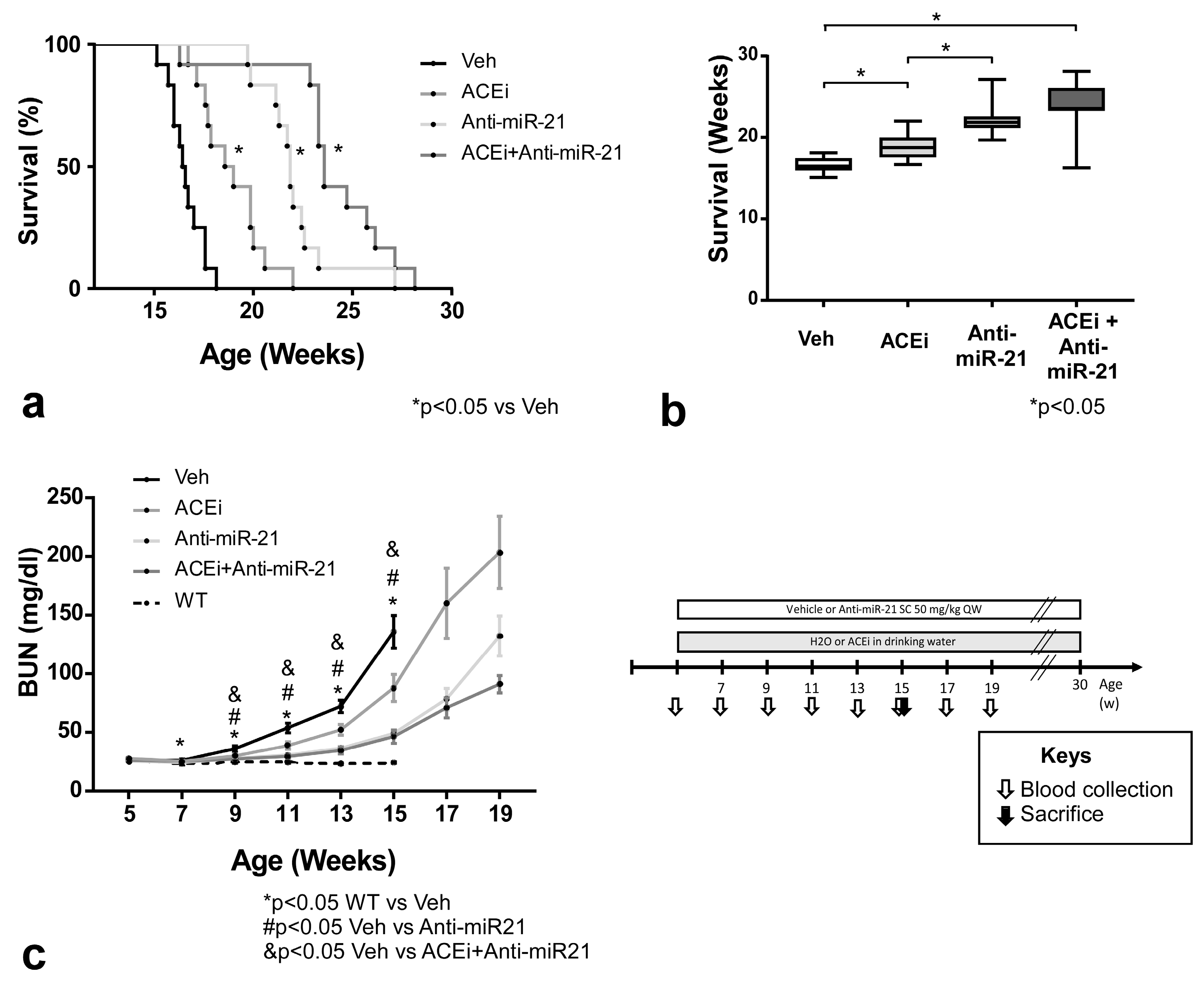 Cells 11 00594 g003 Cells 11 00594 g003