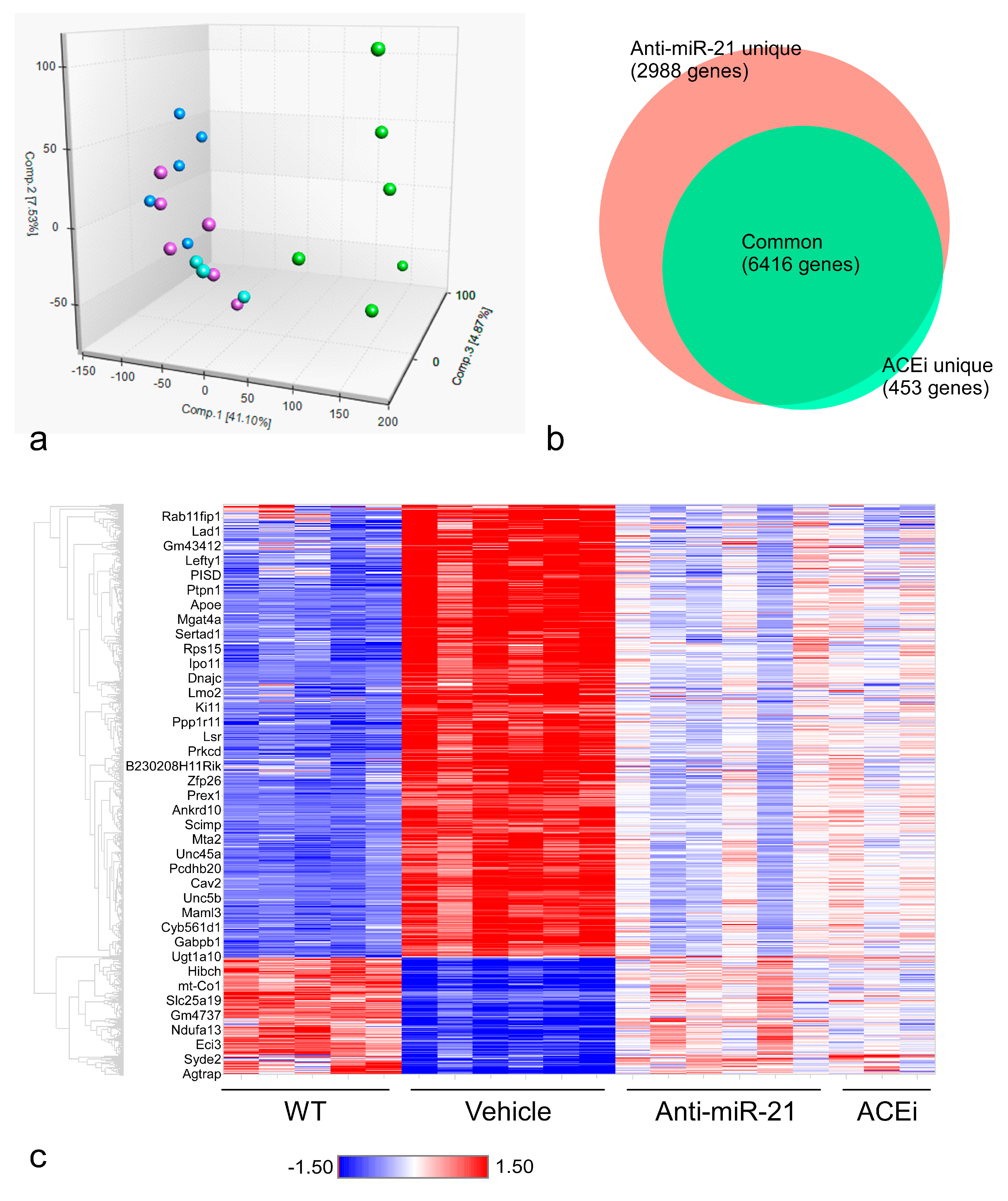 Cells 11 00594 g005 Cells 11 00594 g005
