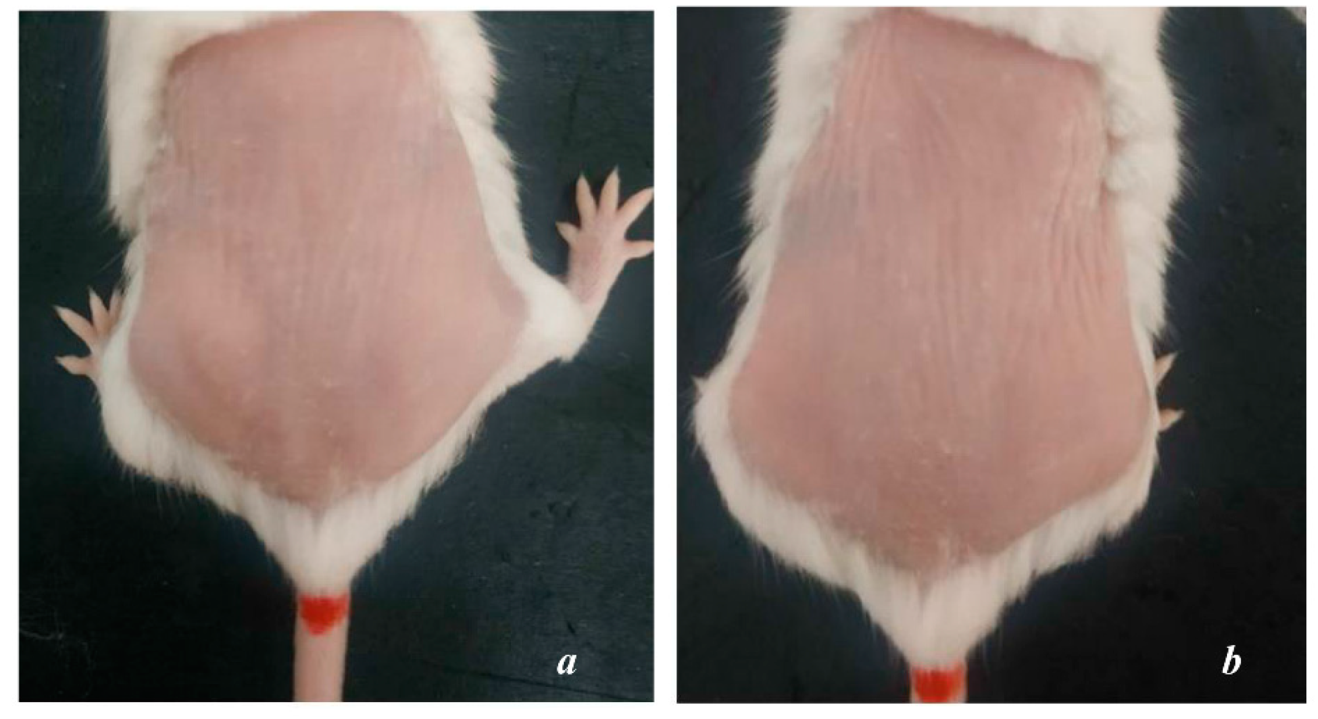 Cells 11 00597 g001 550