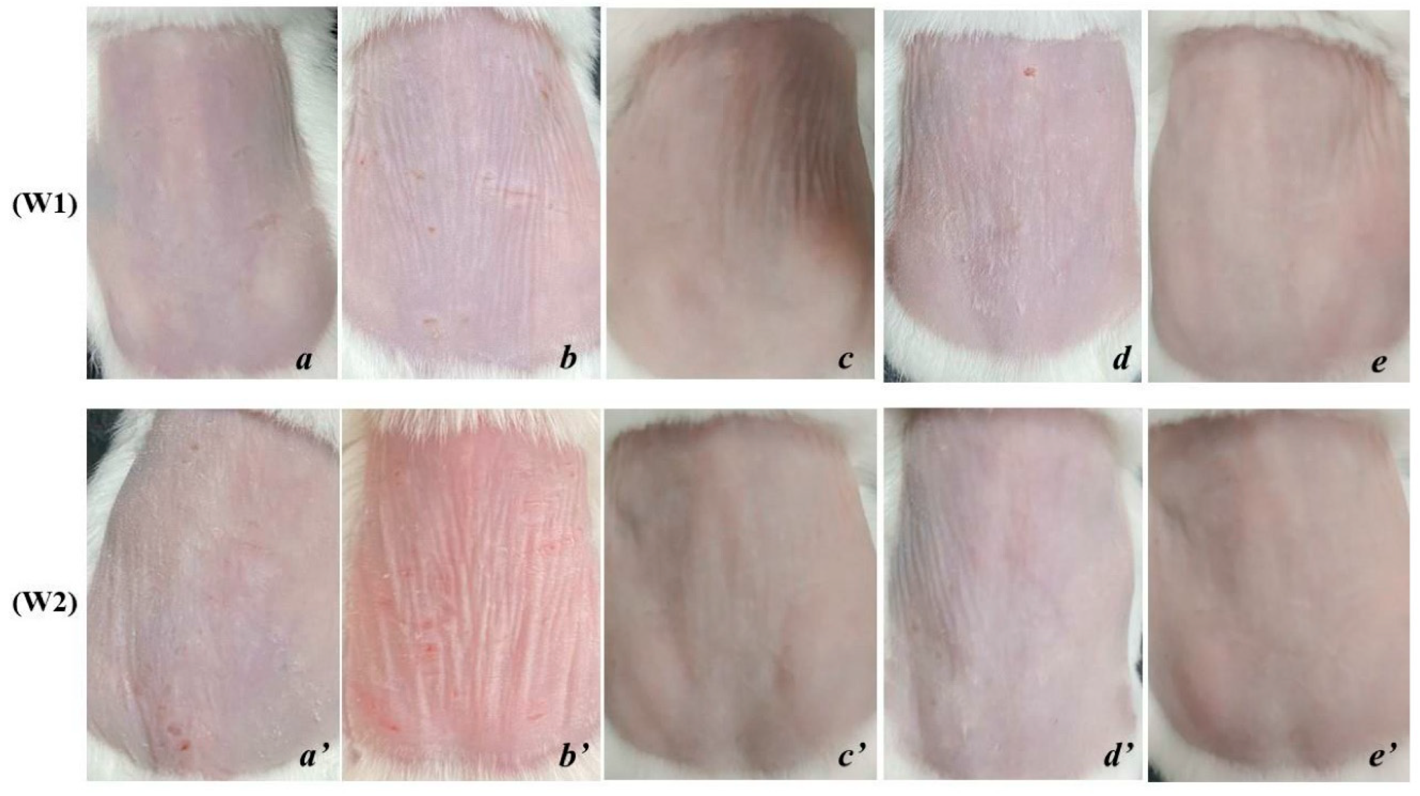 Cells 11 00597 g002 550