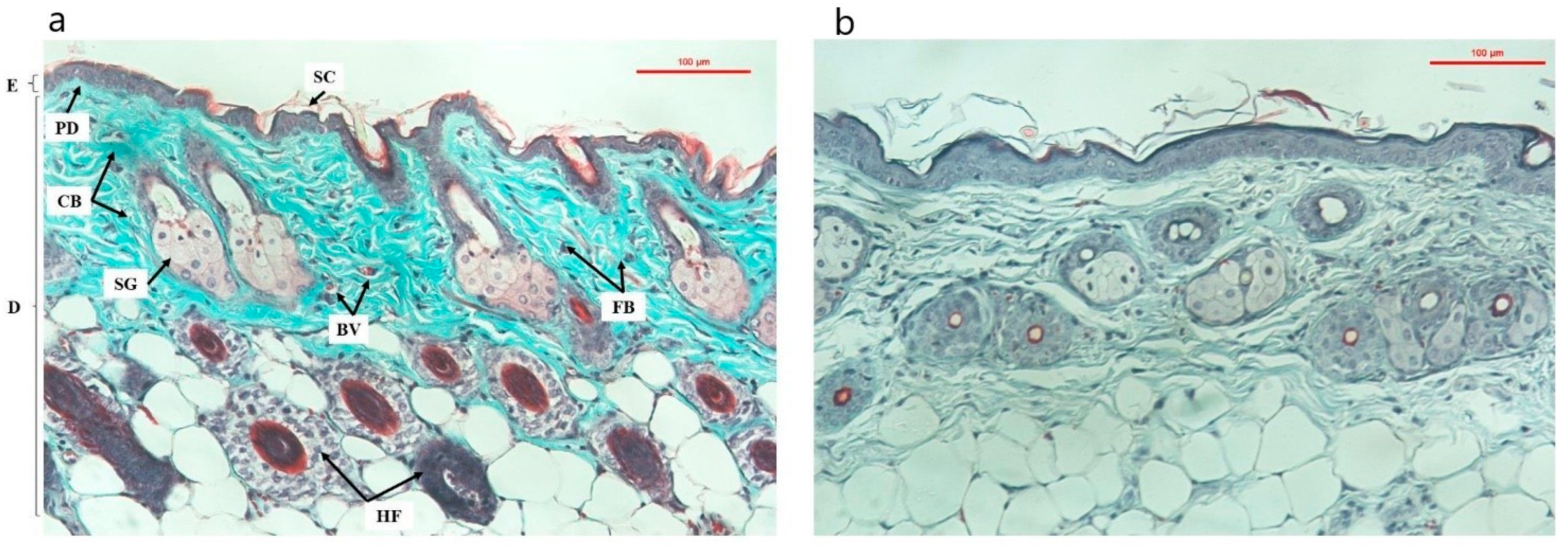 Cells 11 00597 g005 550