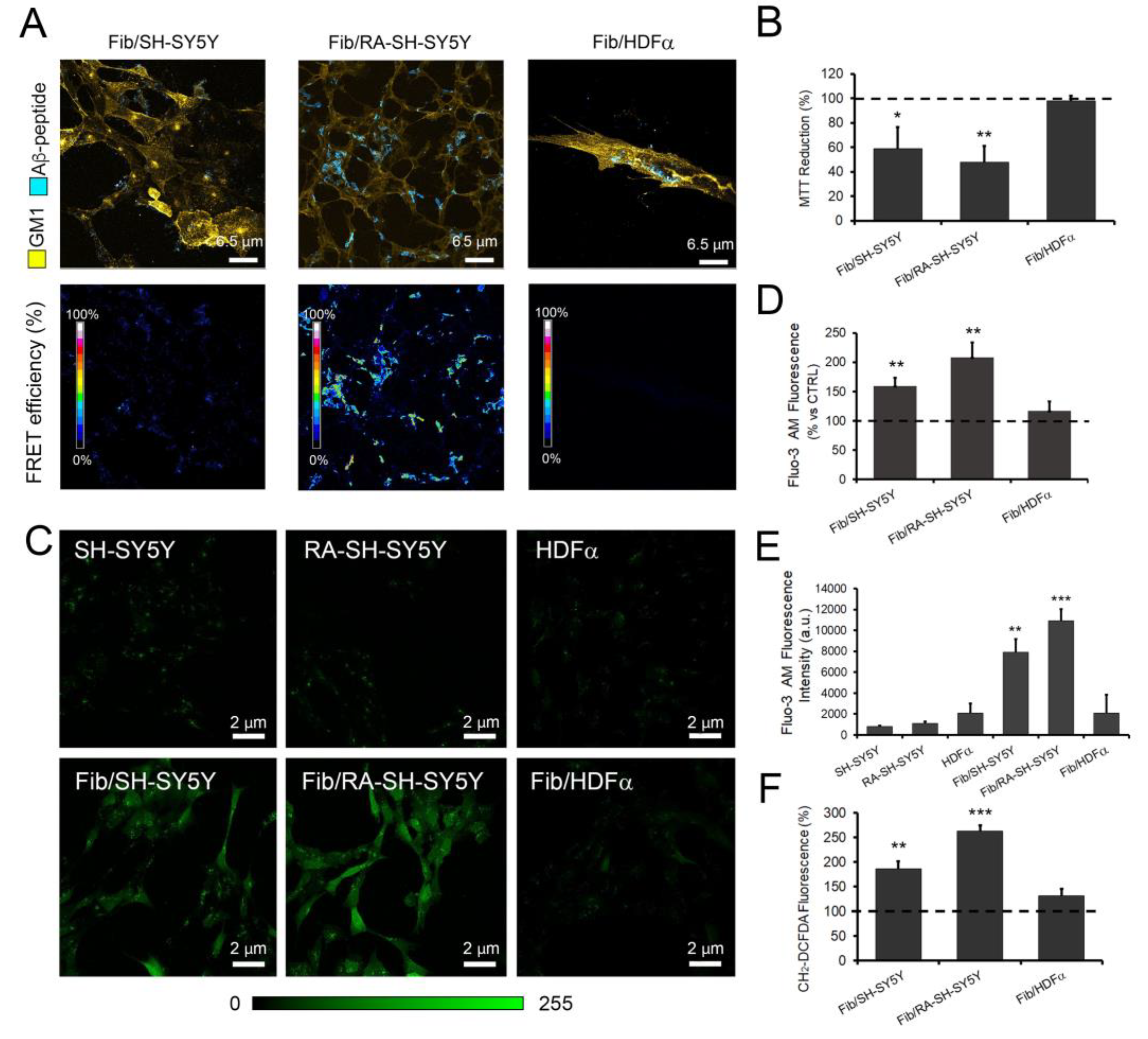 Cells 11 00601 g001 Cells 11 00601 g001