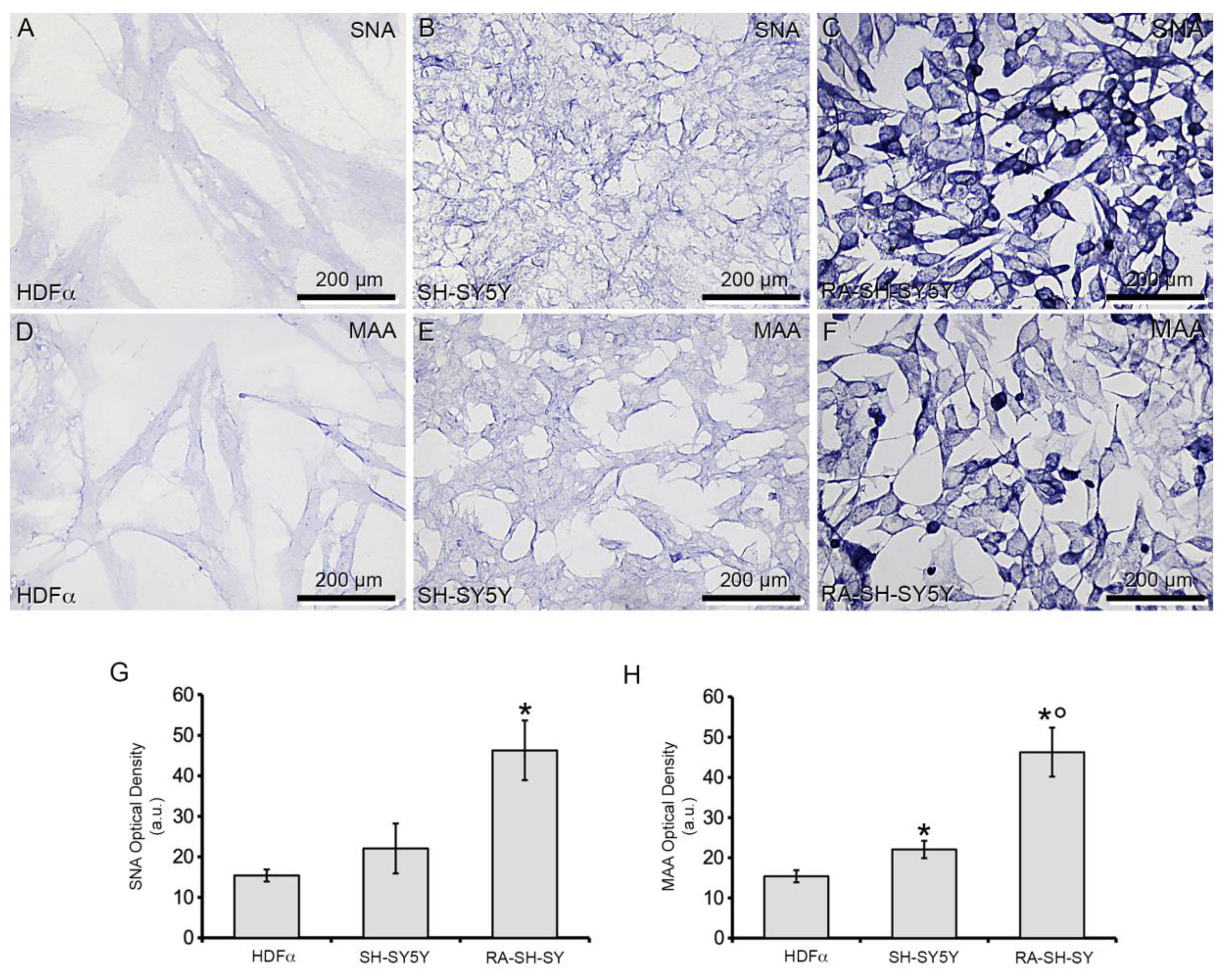 Cells 11 00601 g002 Cells 11 00601 g002