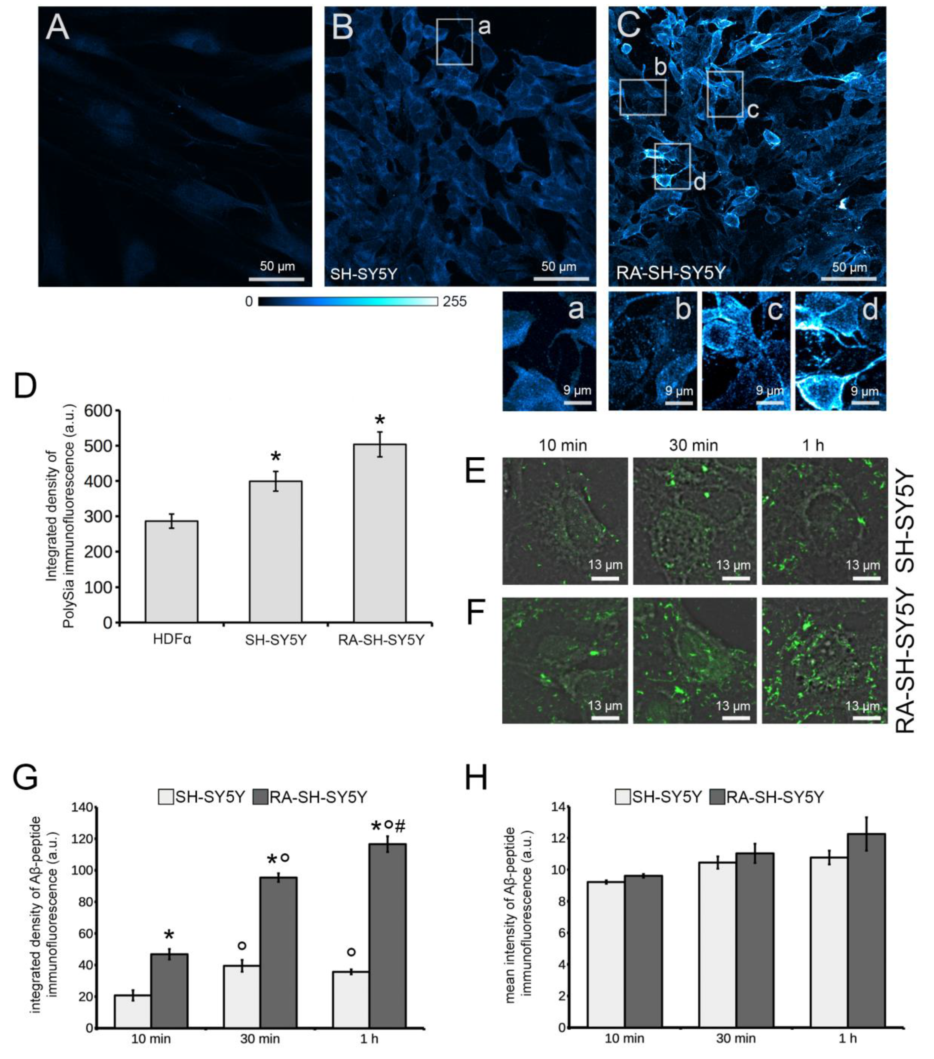Cells 11 00601 g003 Cells 11 00601 g003