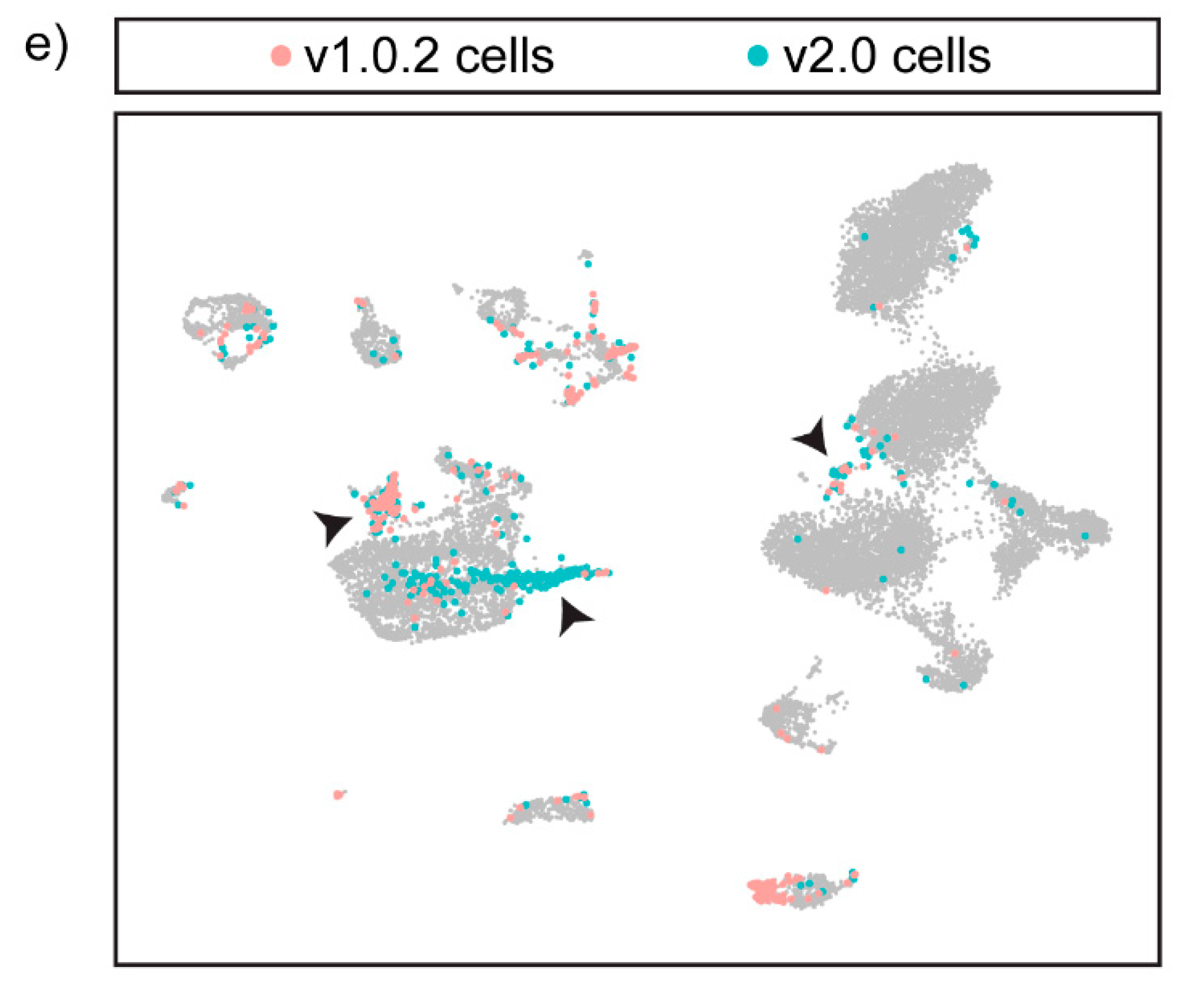 Cells 11 00608 g005b