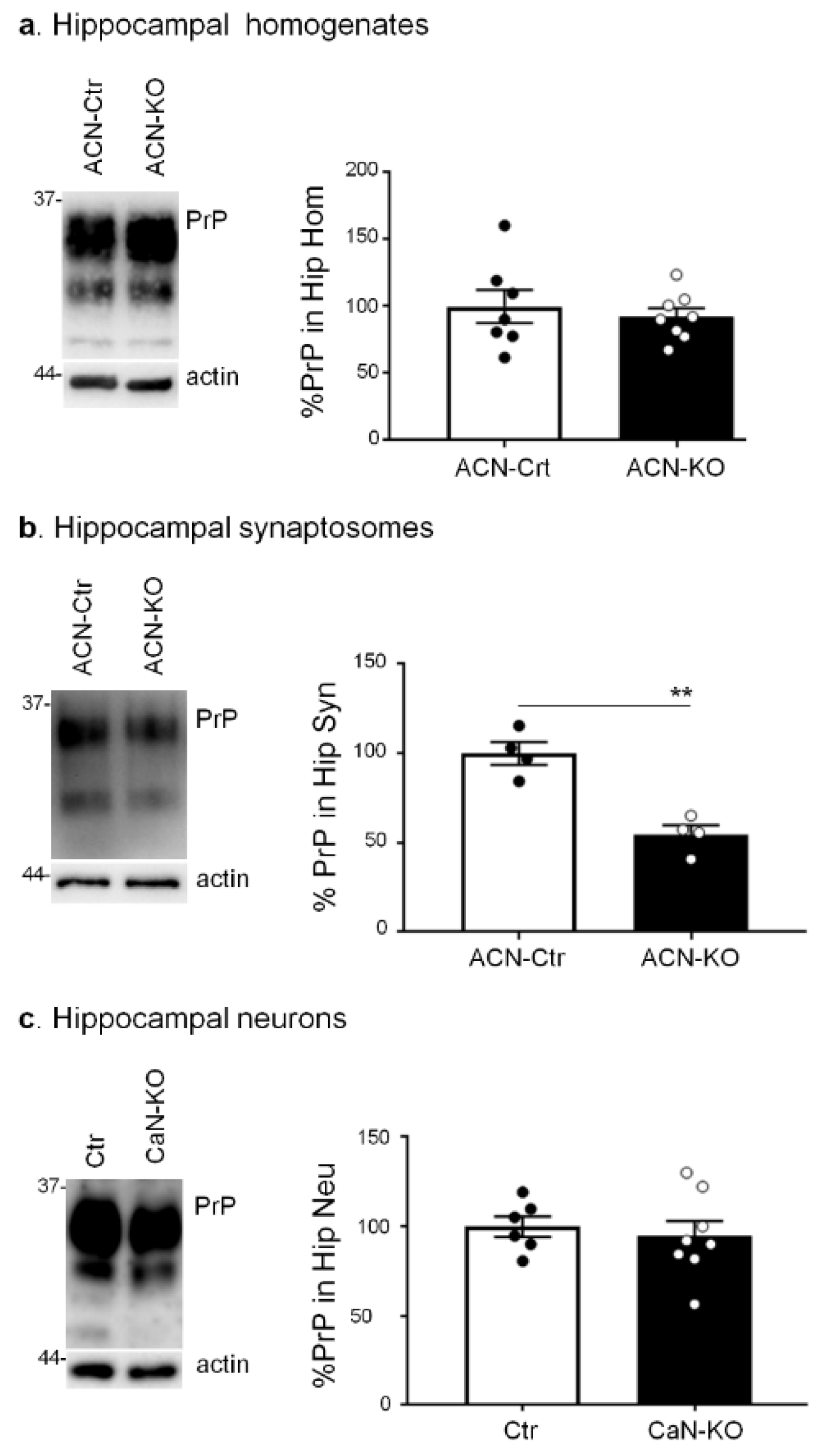 Cells 11 00609 g003 550