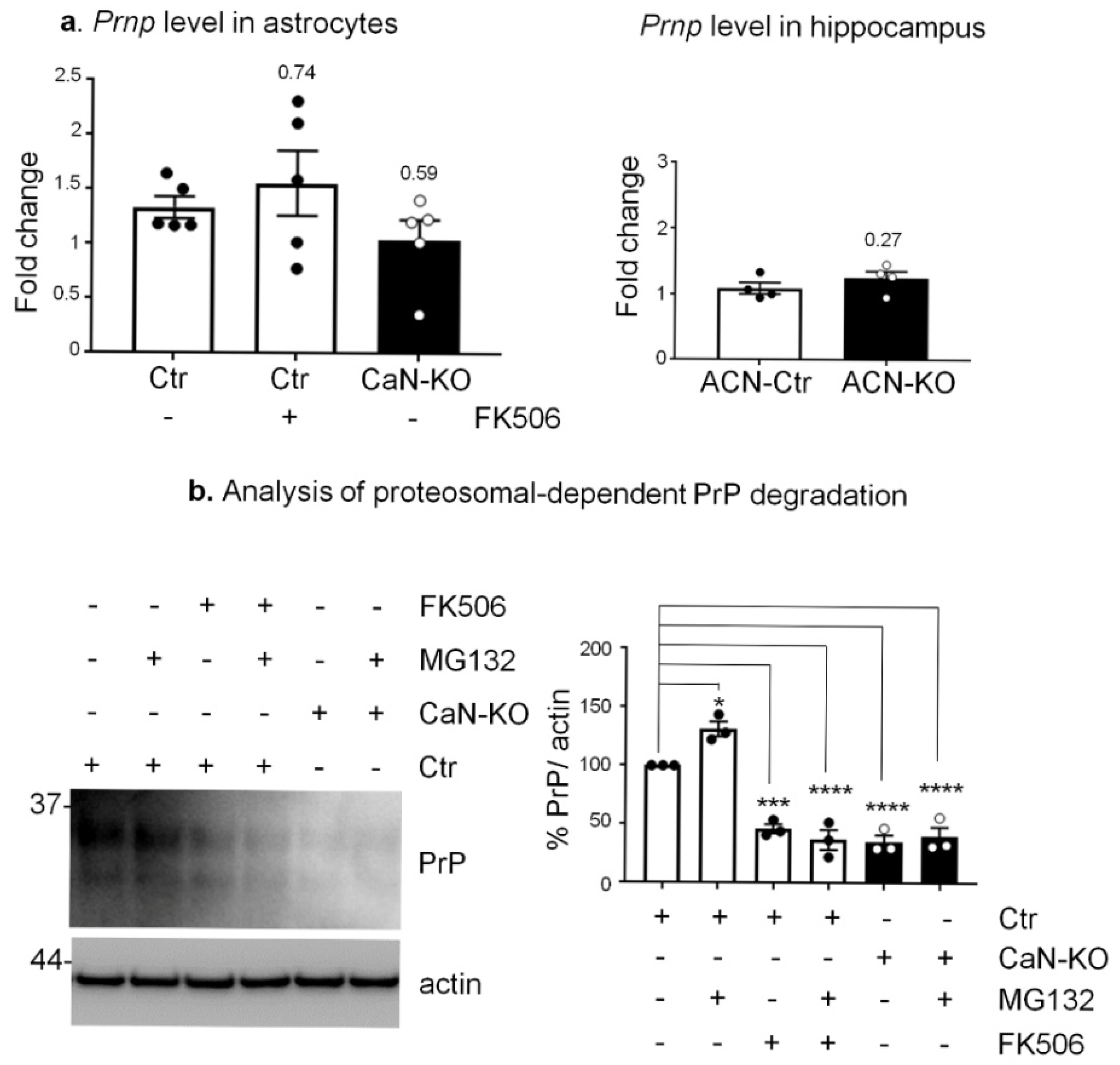 Cells 11 00609 g004 550