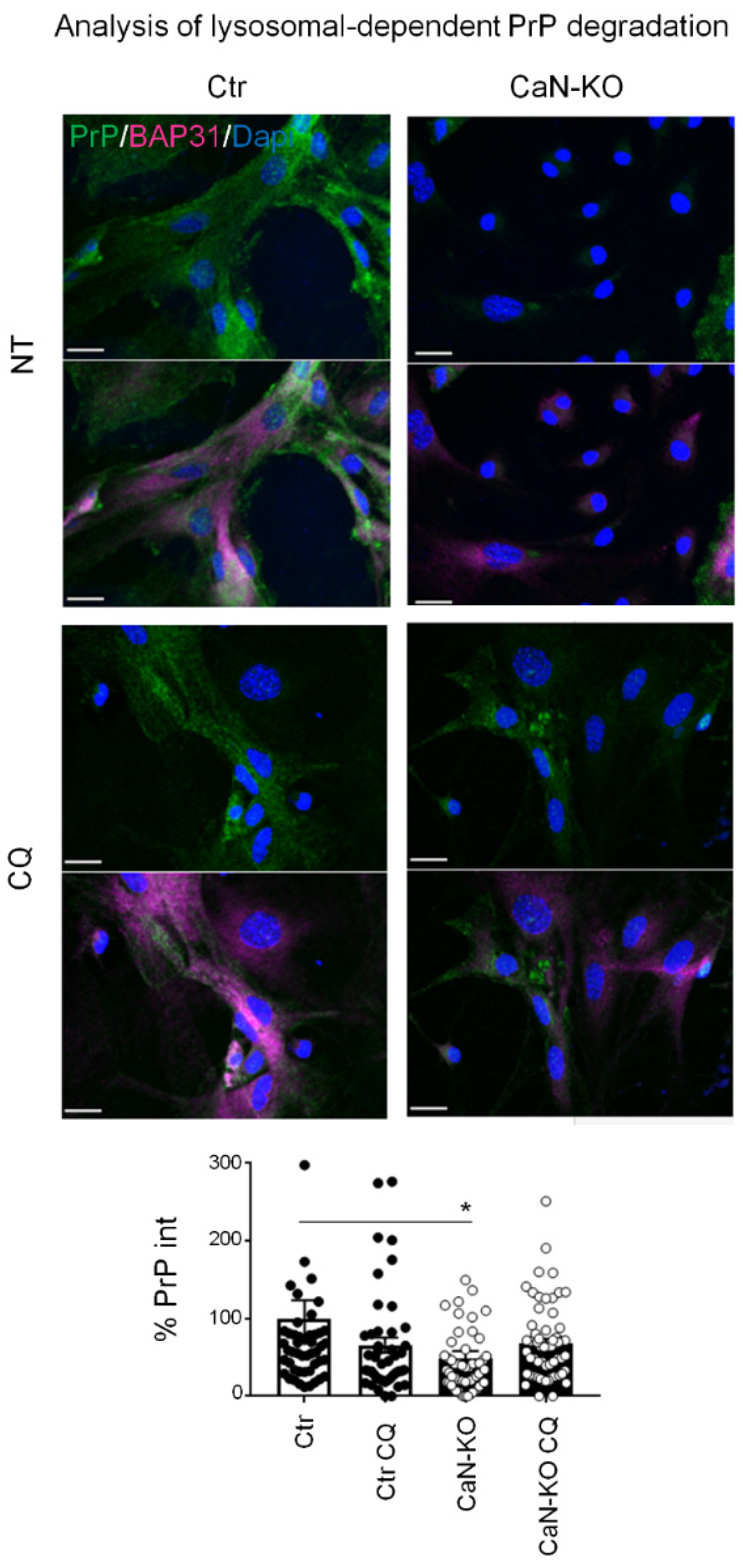 Cells 11 00609 g005 550