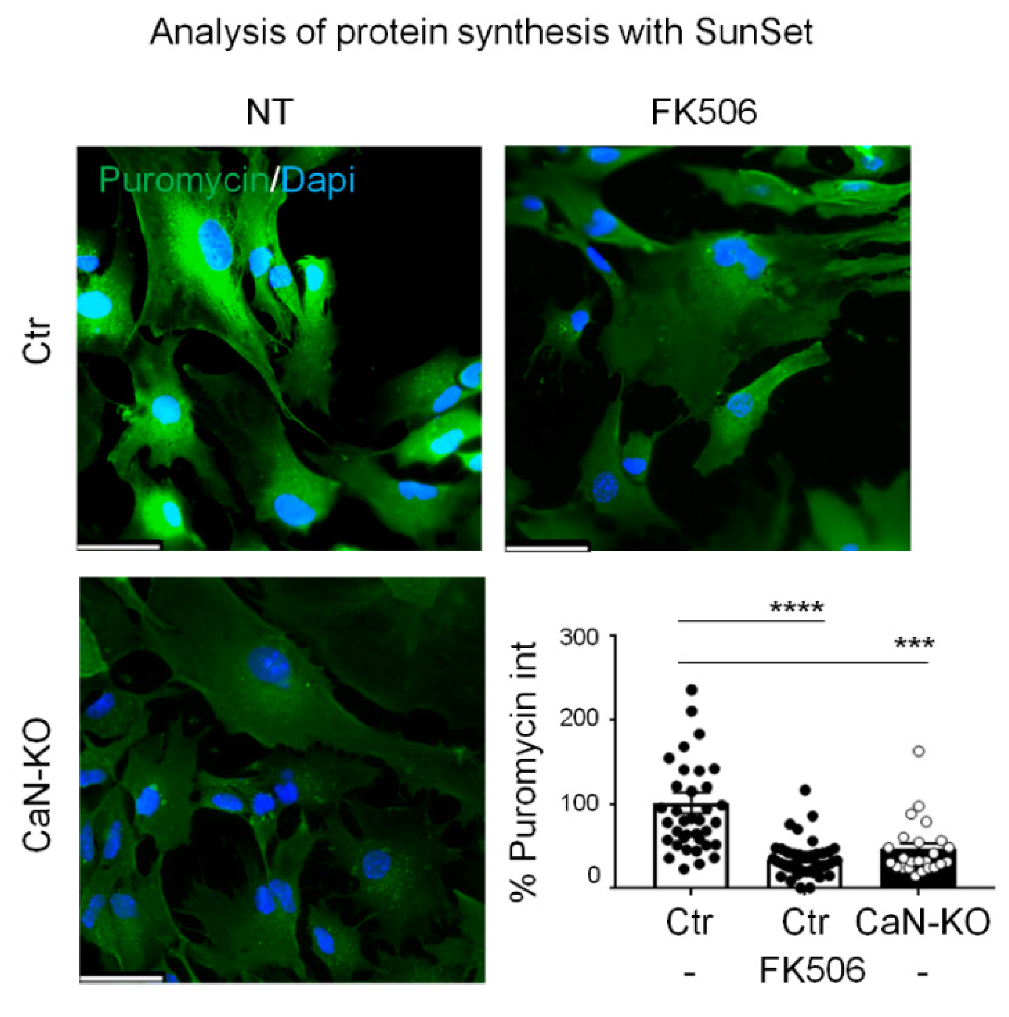 Cells 11 00609 g006 550