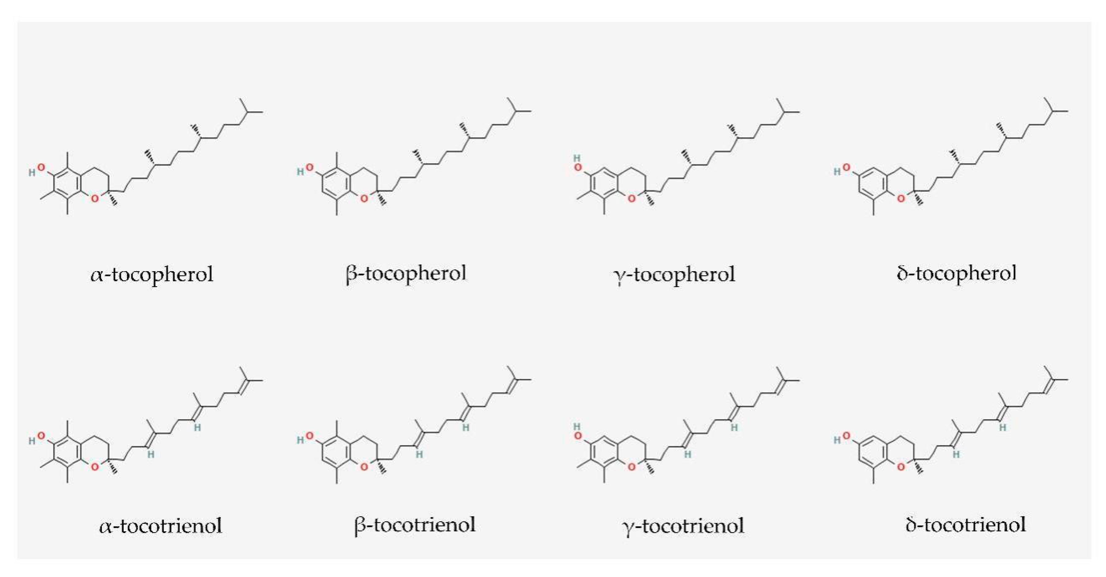 Cells 11 00614 g002 Cells 11 00614 g002