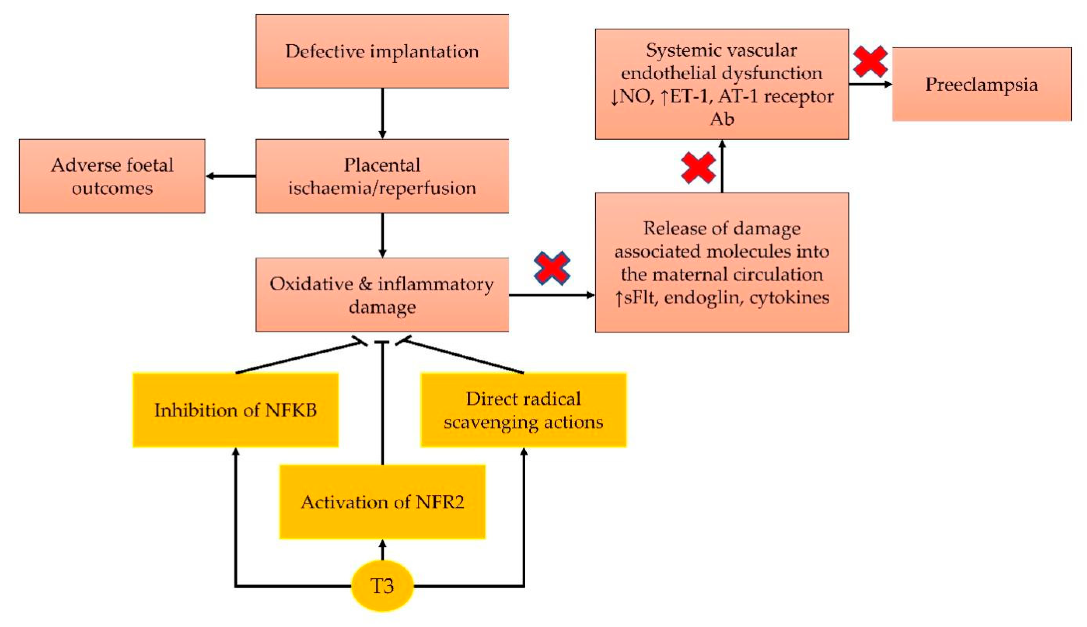Cells 11 00614 g003 Cells 11 00614 g003