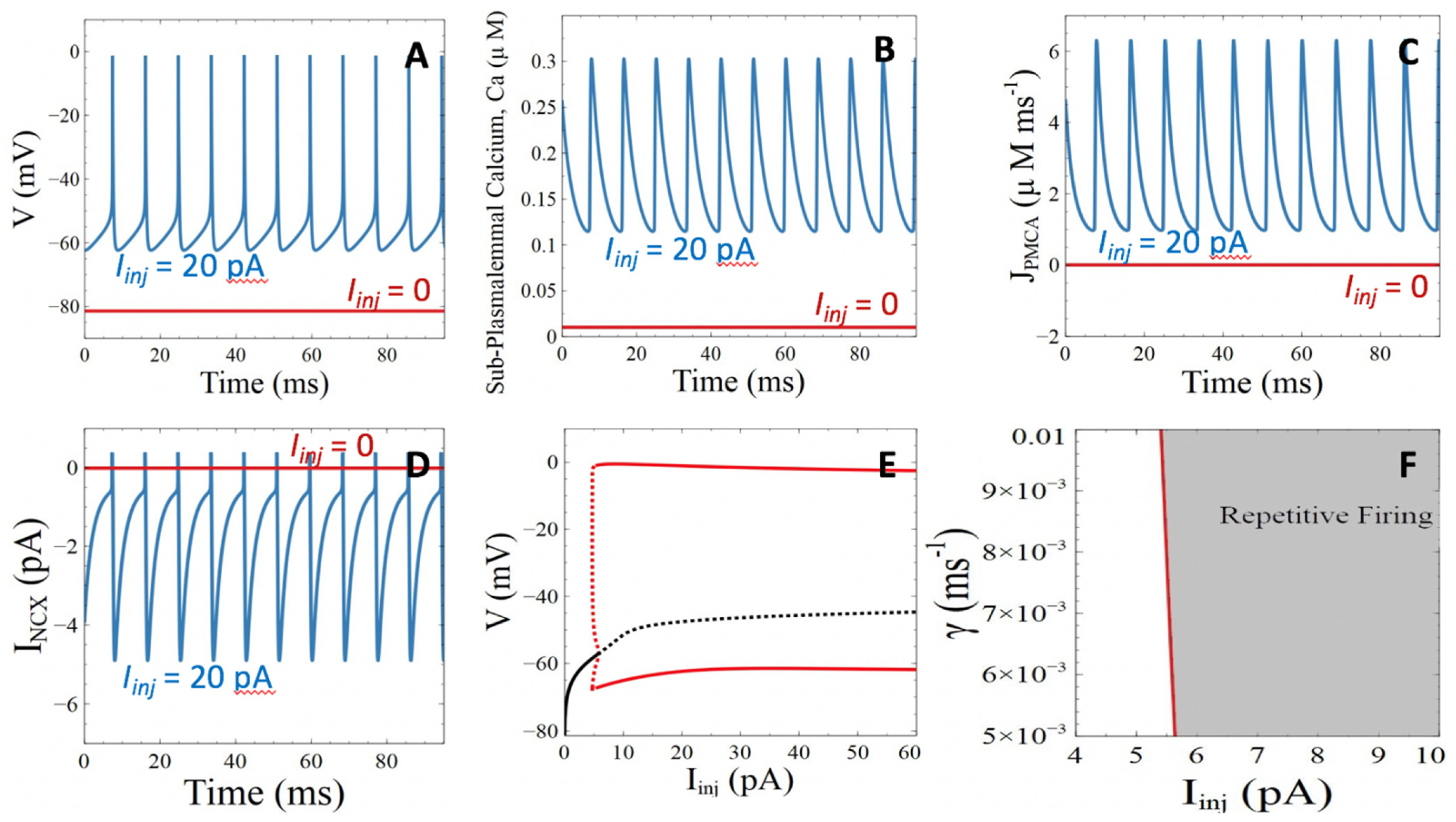Cells 11 00615 g002 Cells 11 00615 g002