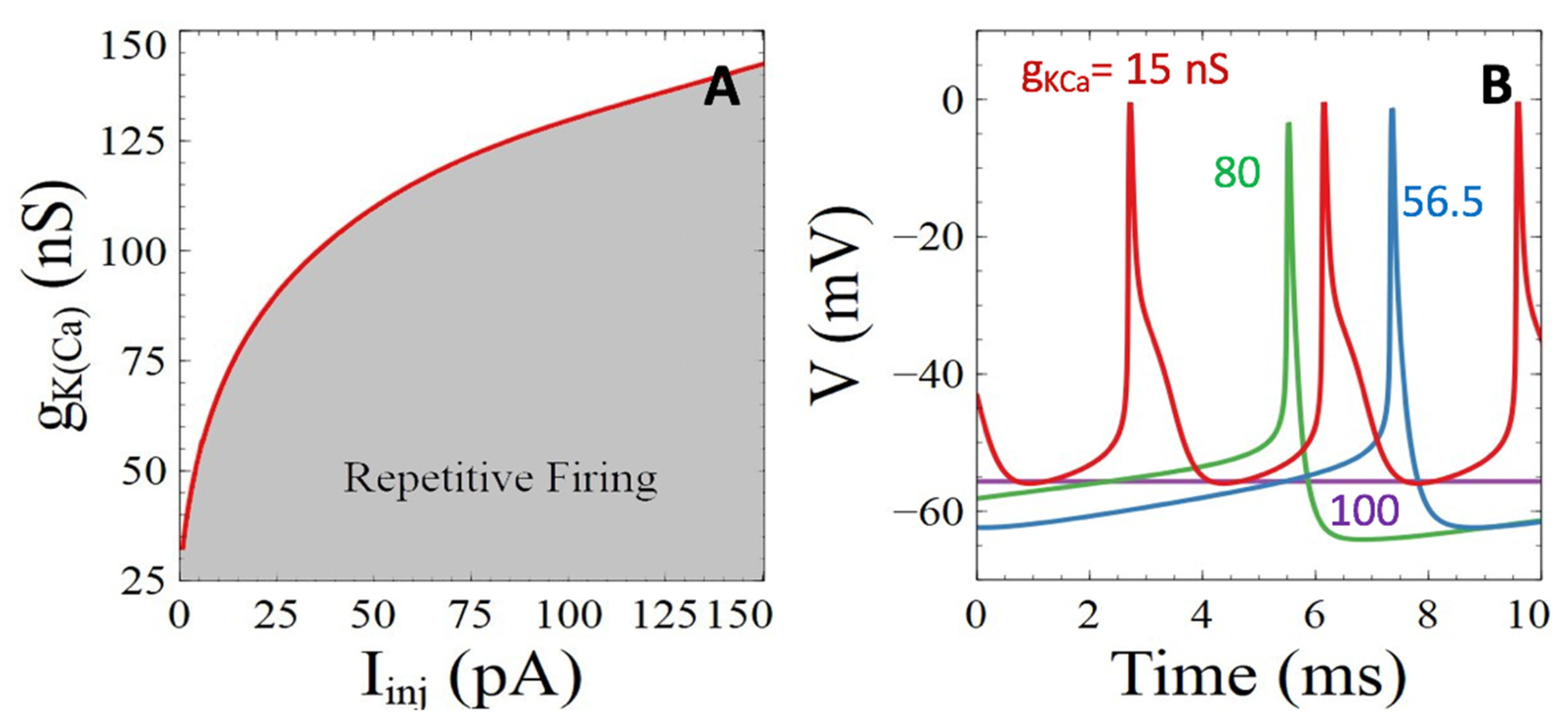 Cells 11 00615 g007 Cells 11 00615 g007