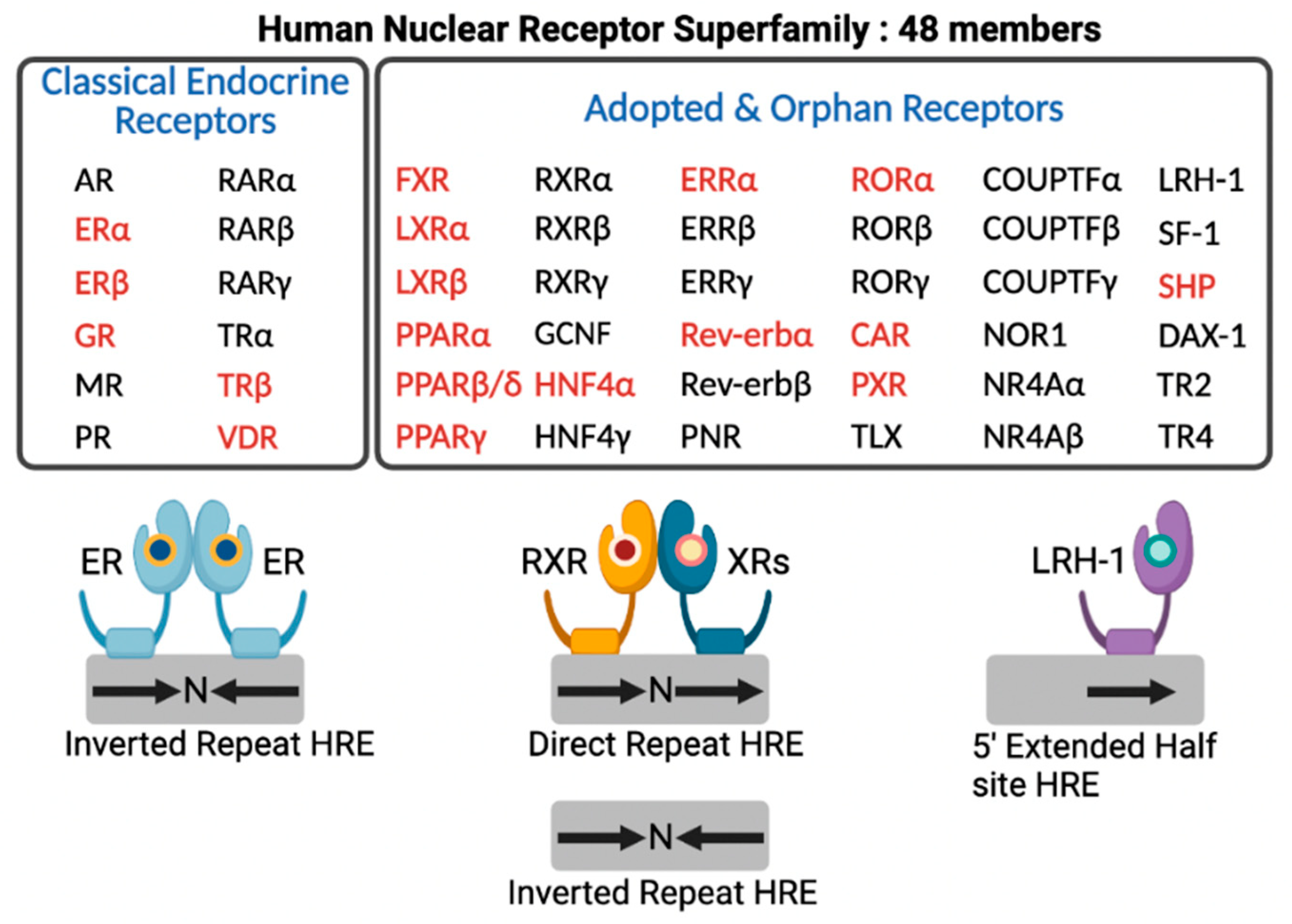 Cells 11 00620 g002 Cells 11 00620 g002