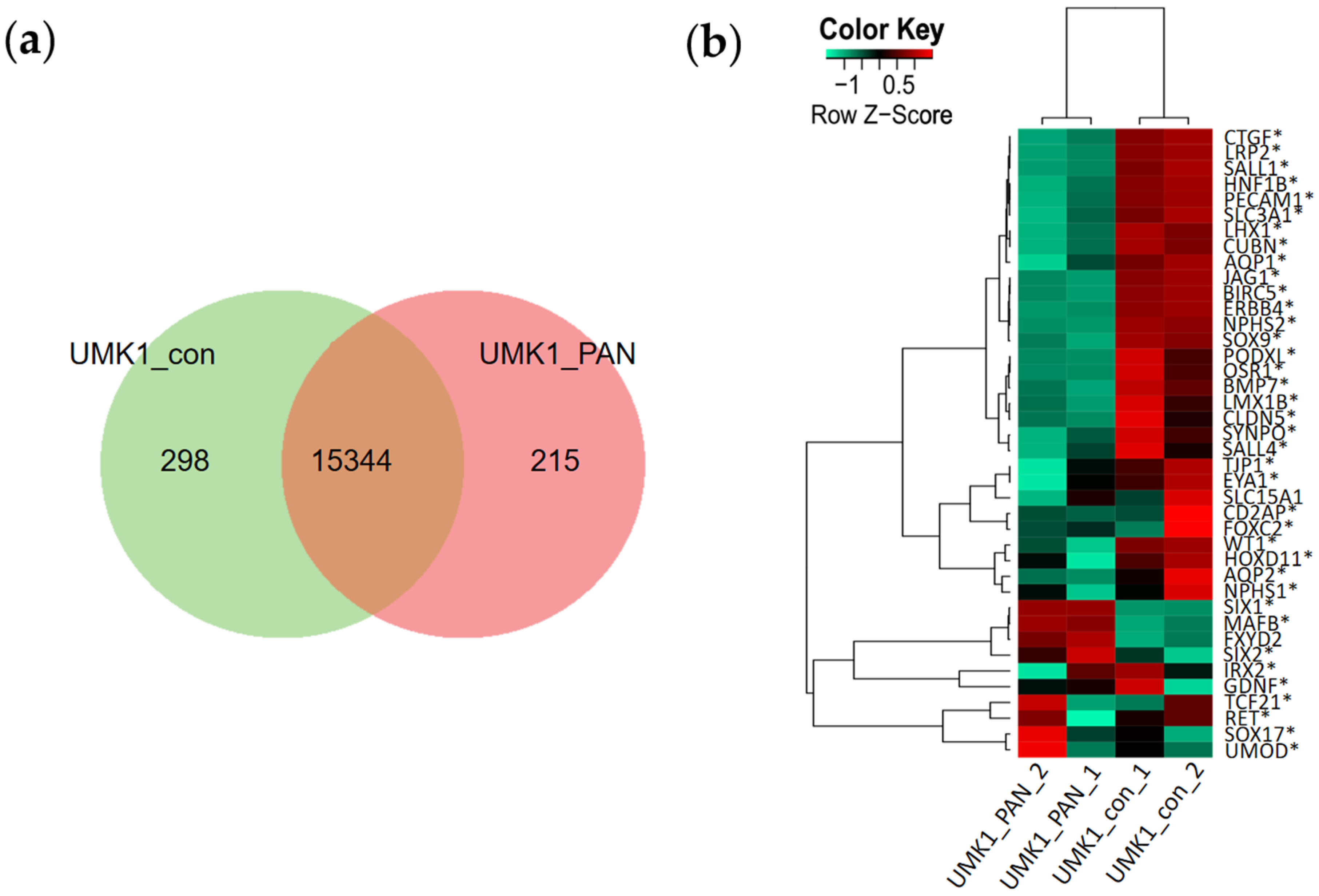 Cells 11 00635 g004 Cells 11 00635 g004