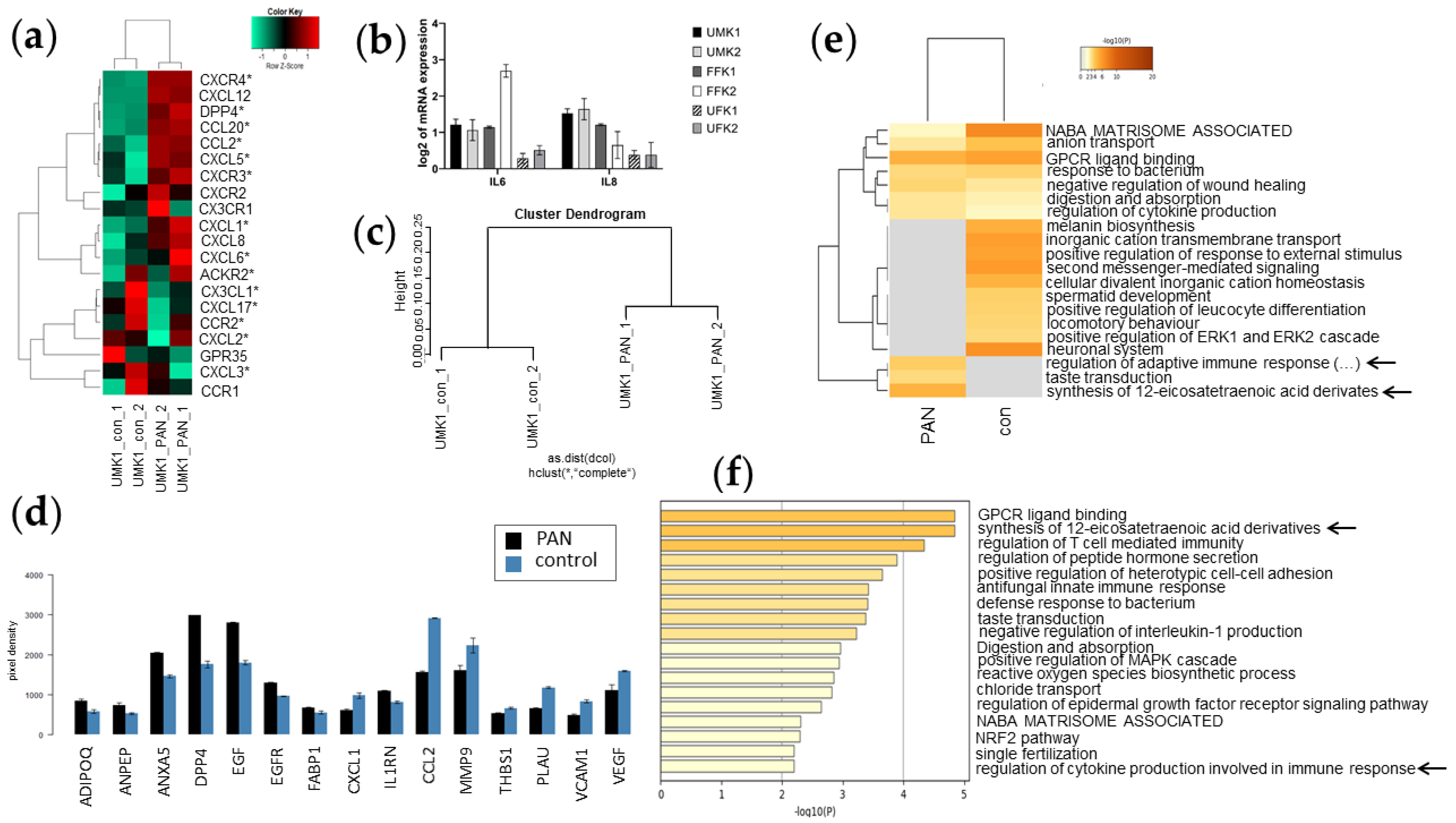 Cells 11 00635 g006 Cells 11 00635 g006