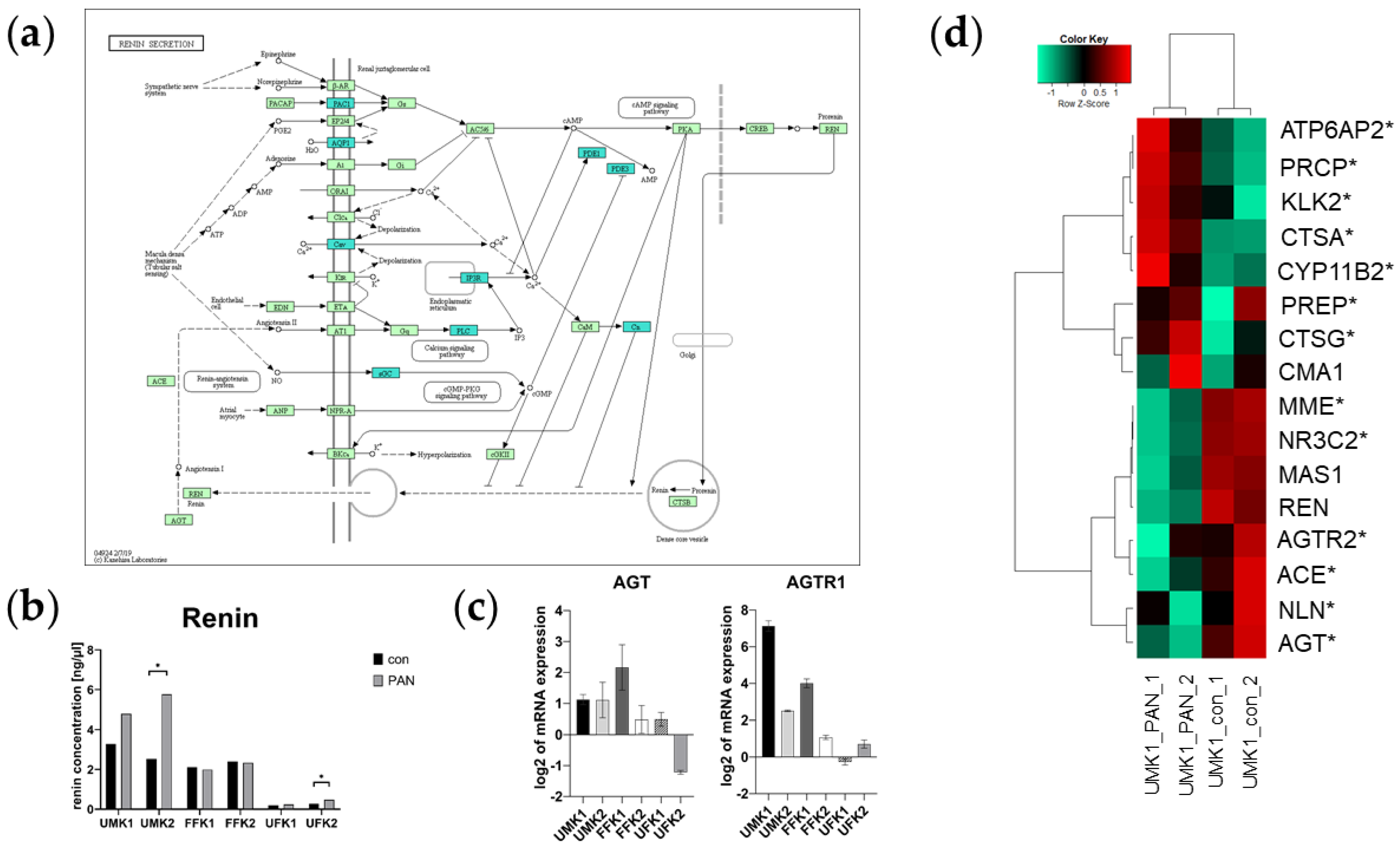 Cells 11 00635 g007 Cells 11 00635 g007