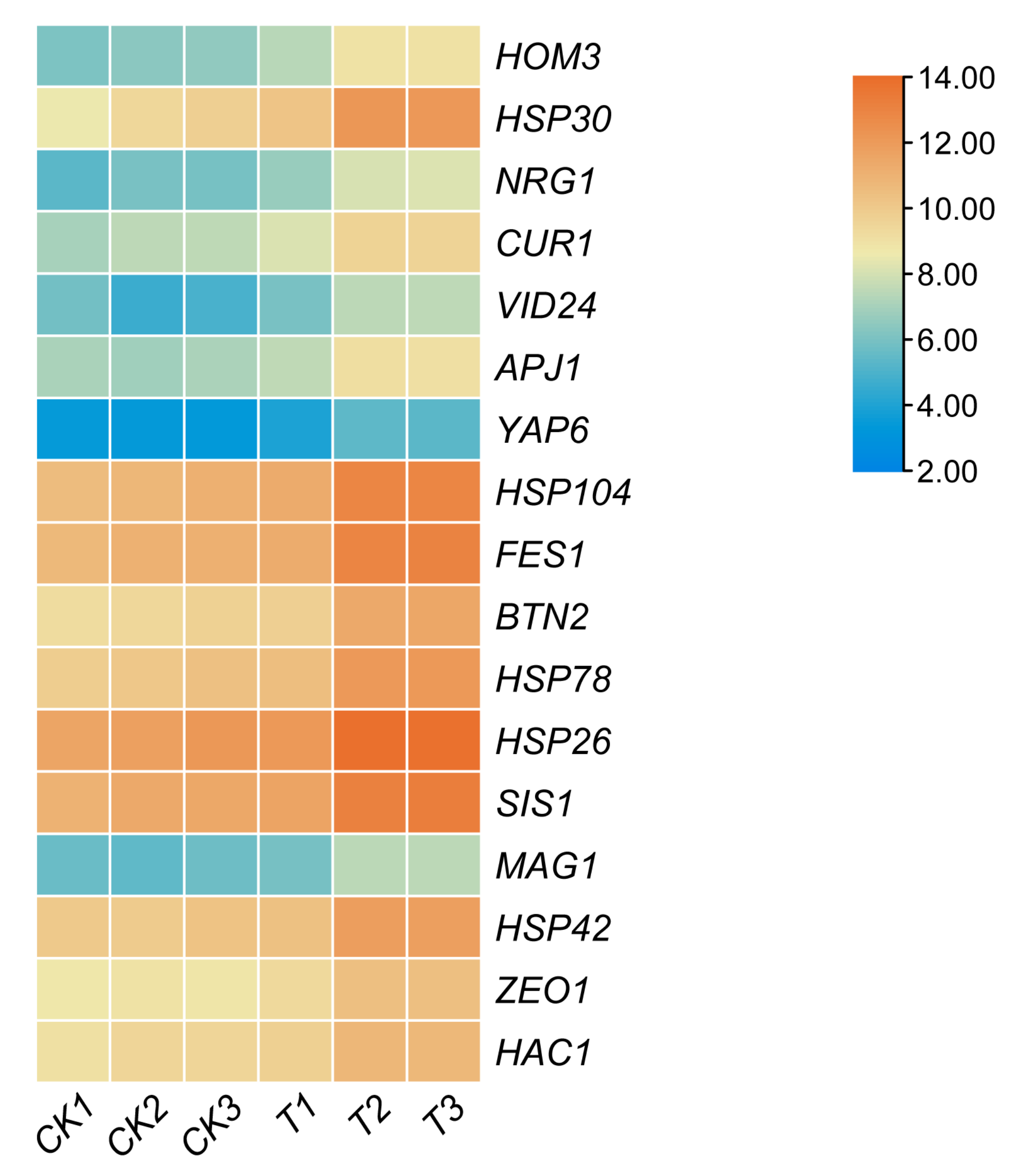 Cells 11 00636 g004 Cells 11 00636 g004