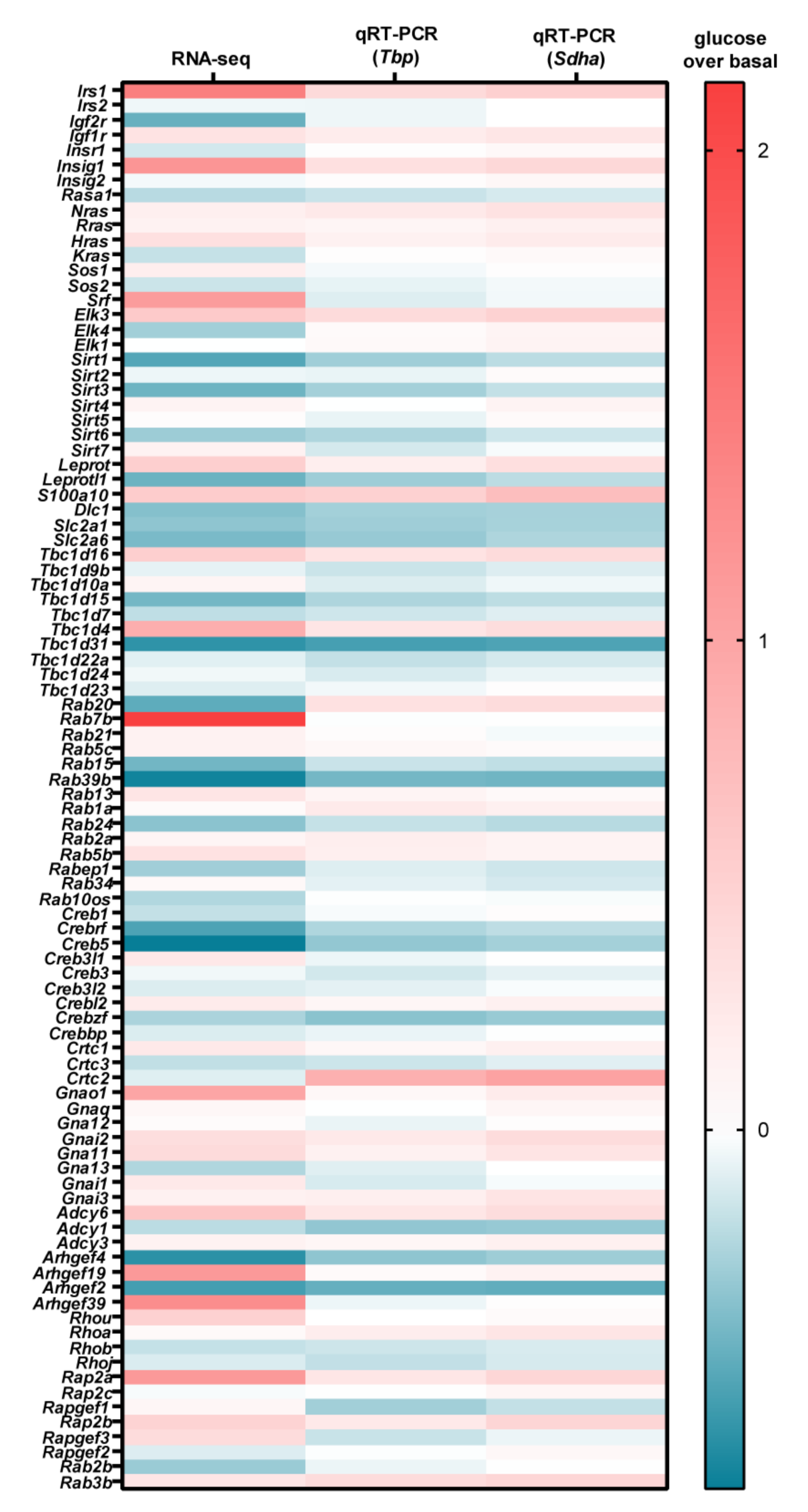 Cells 11 00639 g006 Cells 11 00639 g006