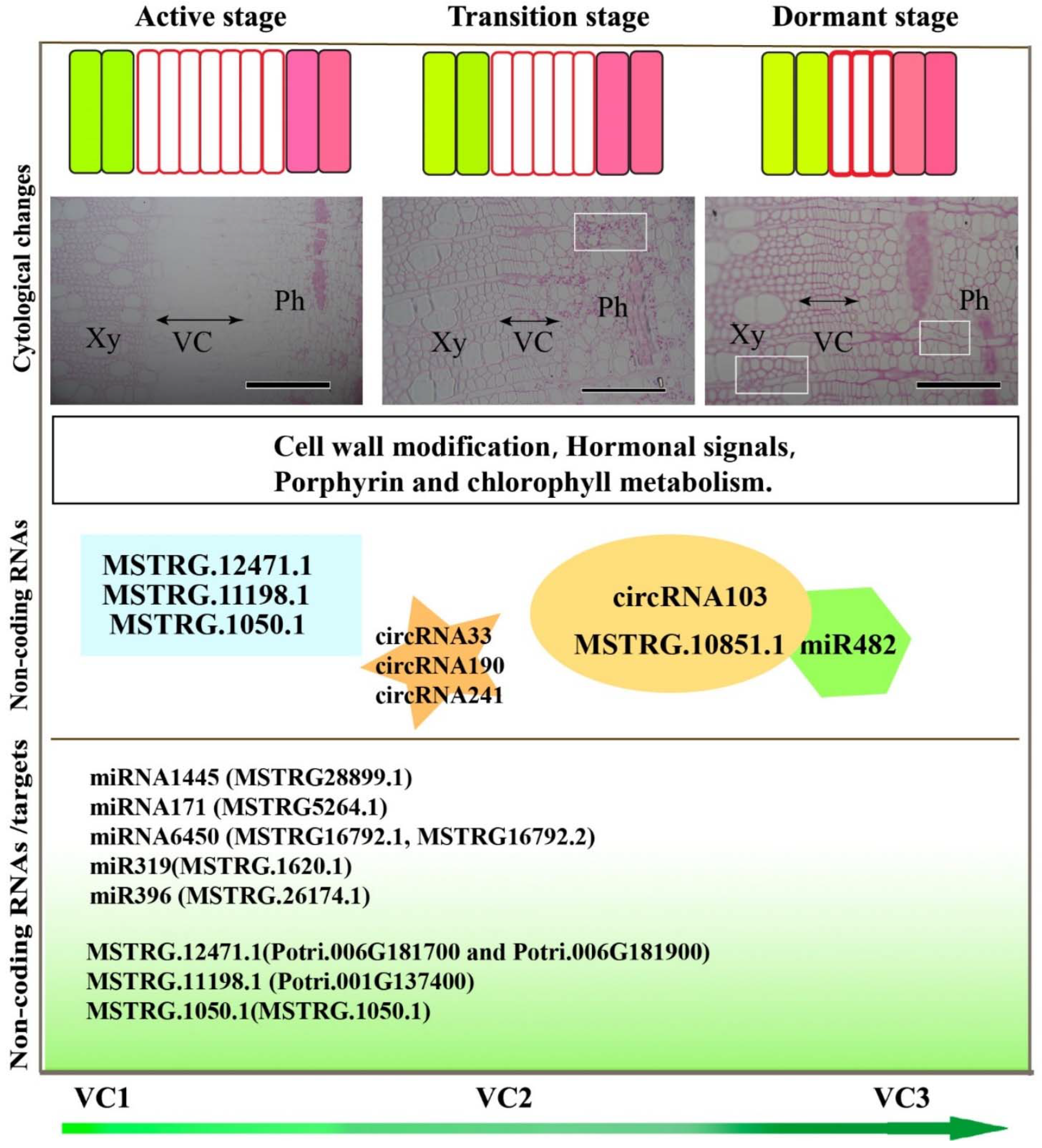 Cells 11 00640 g009