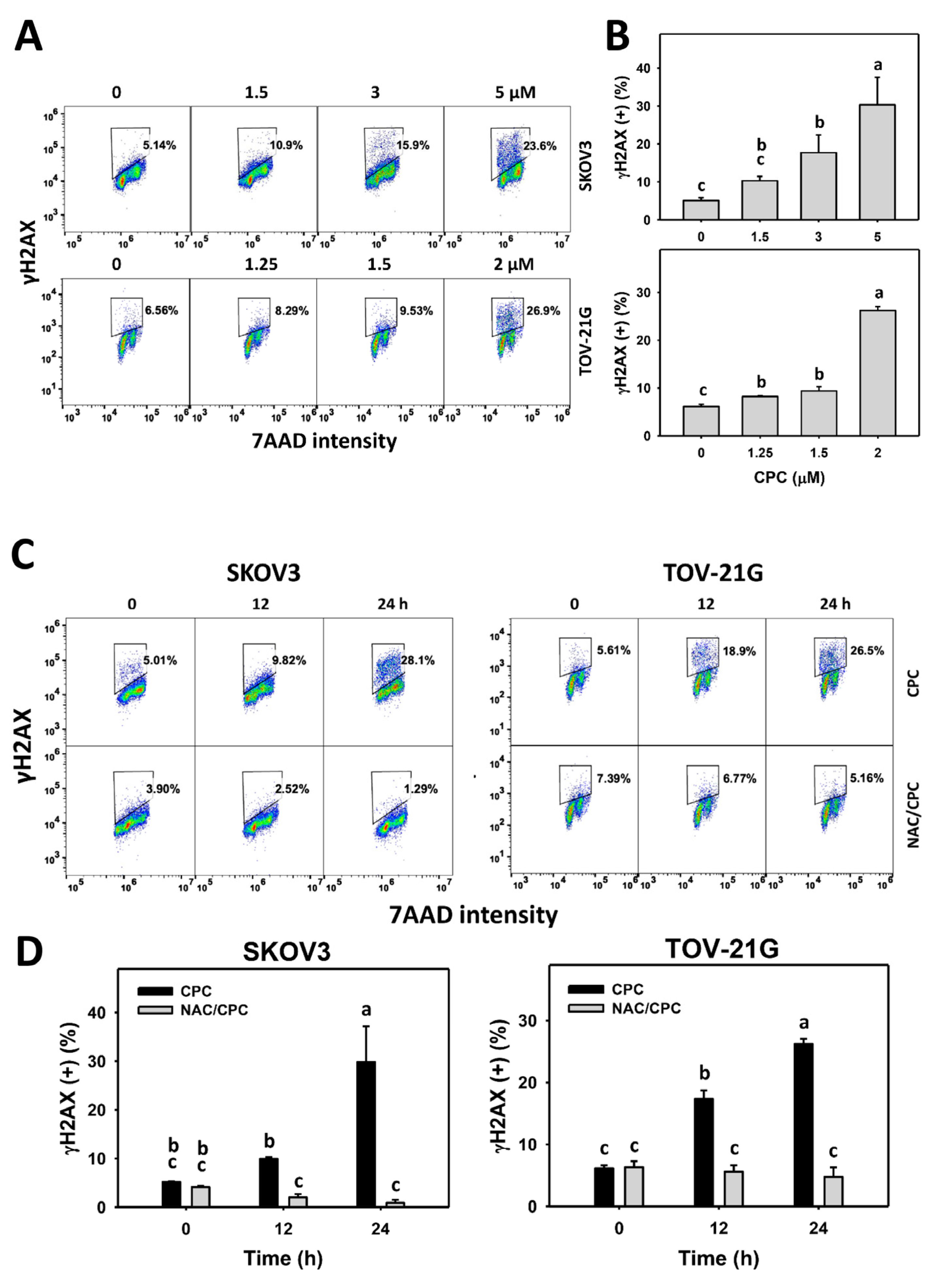 Cells 11 00641 g009a