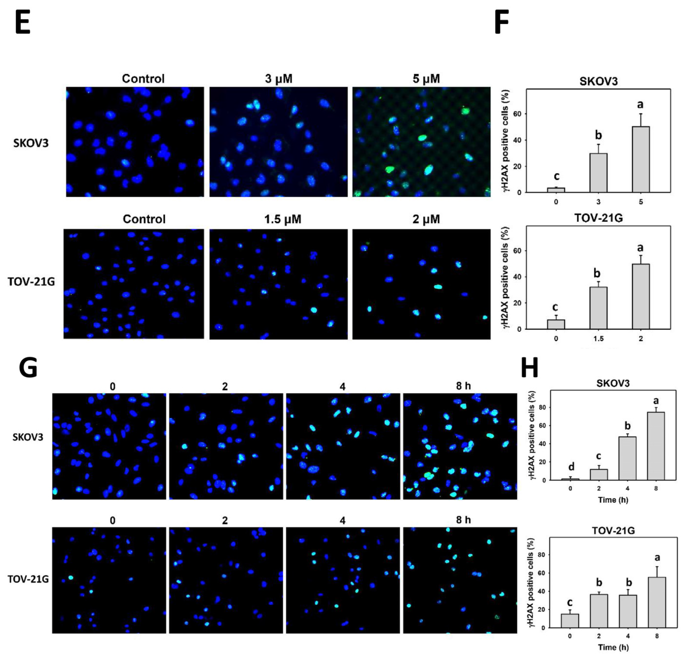 Cells 11 00641 g009b