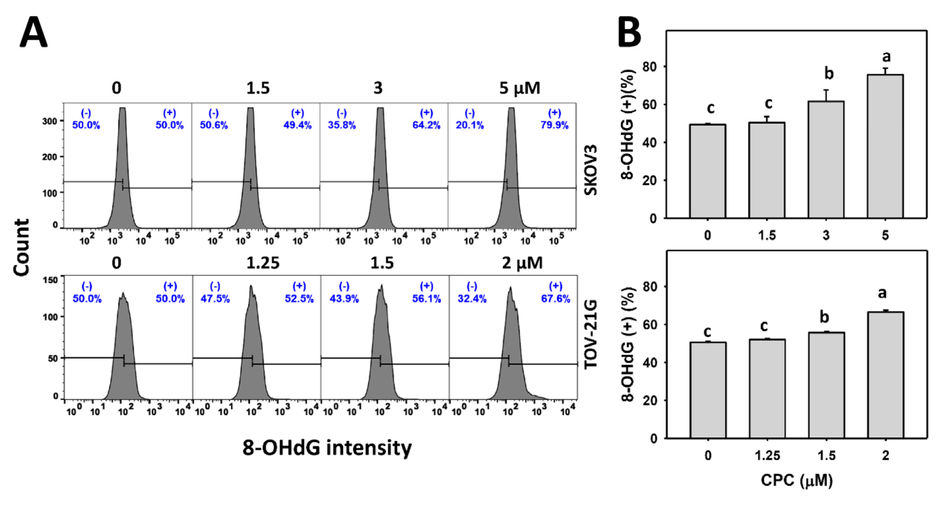 Cells 11 00641 g010a