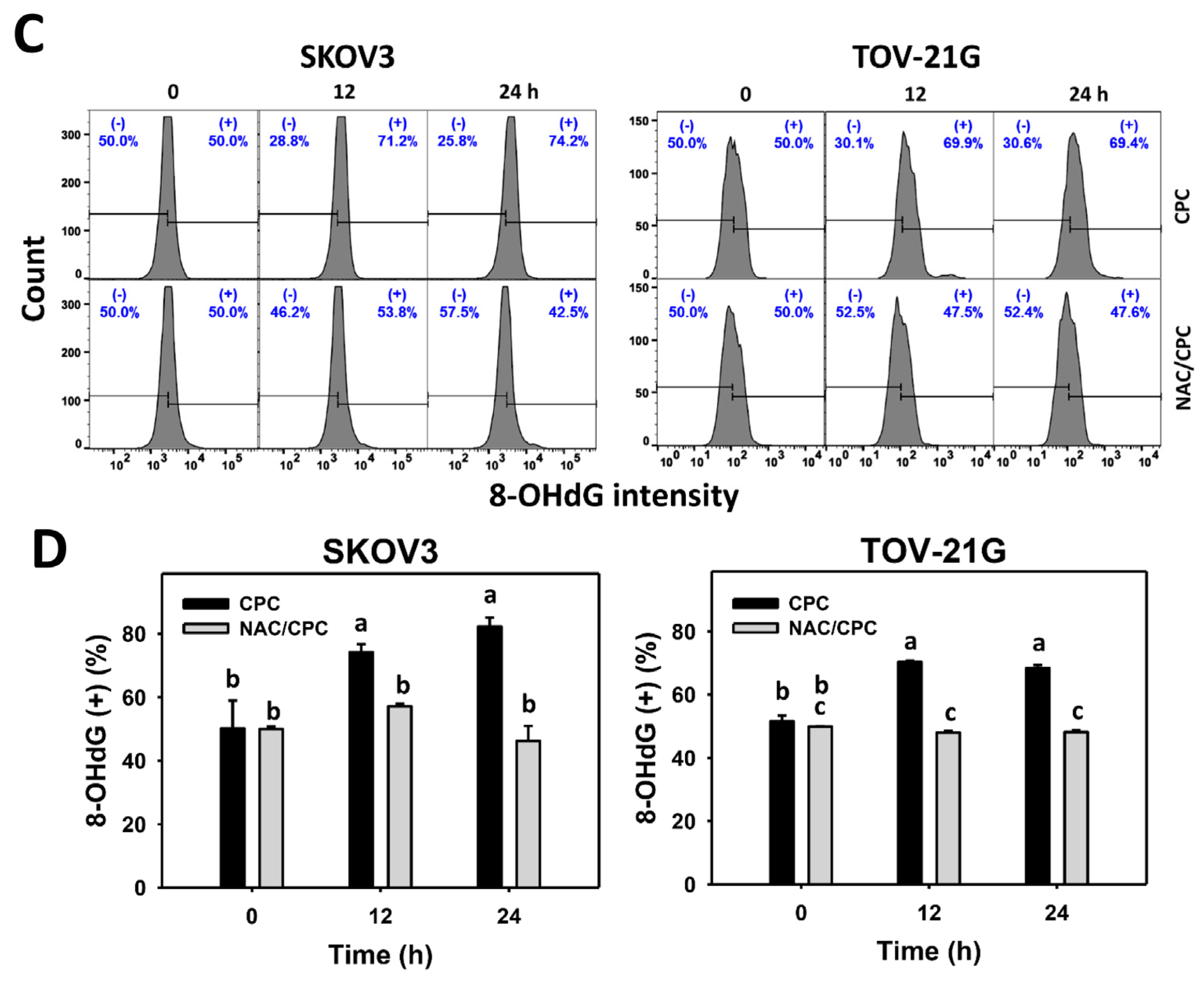 Cells 11 00641 g010b