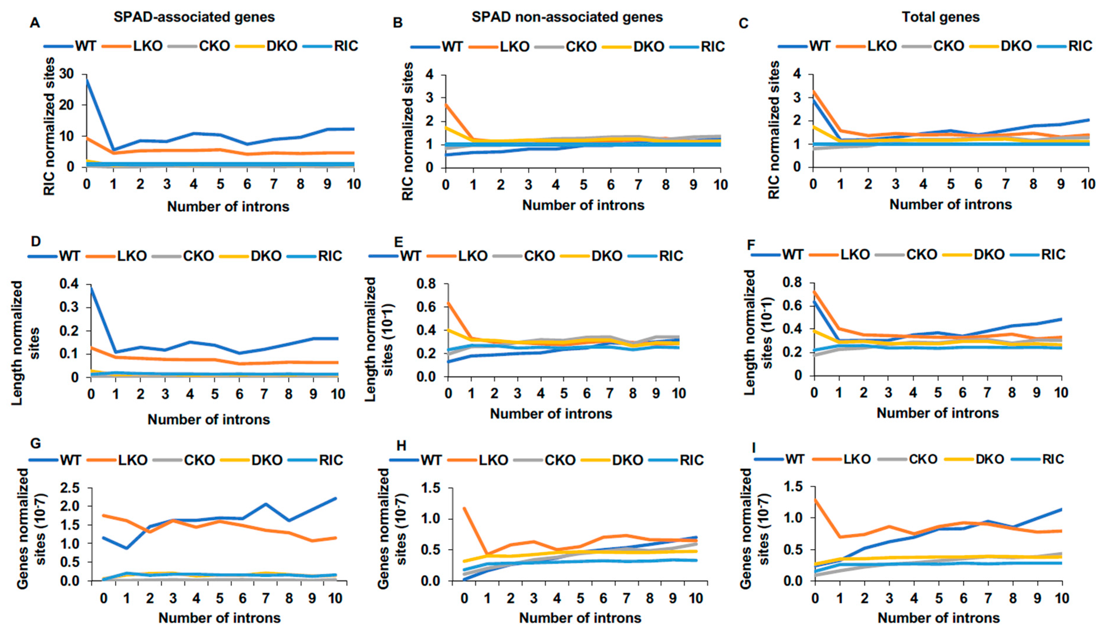 Cells 11 00655 g004 Cells 11 00655 g004