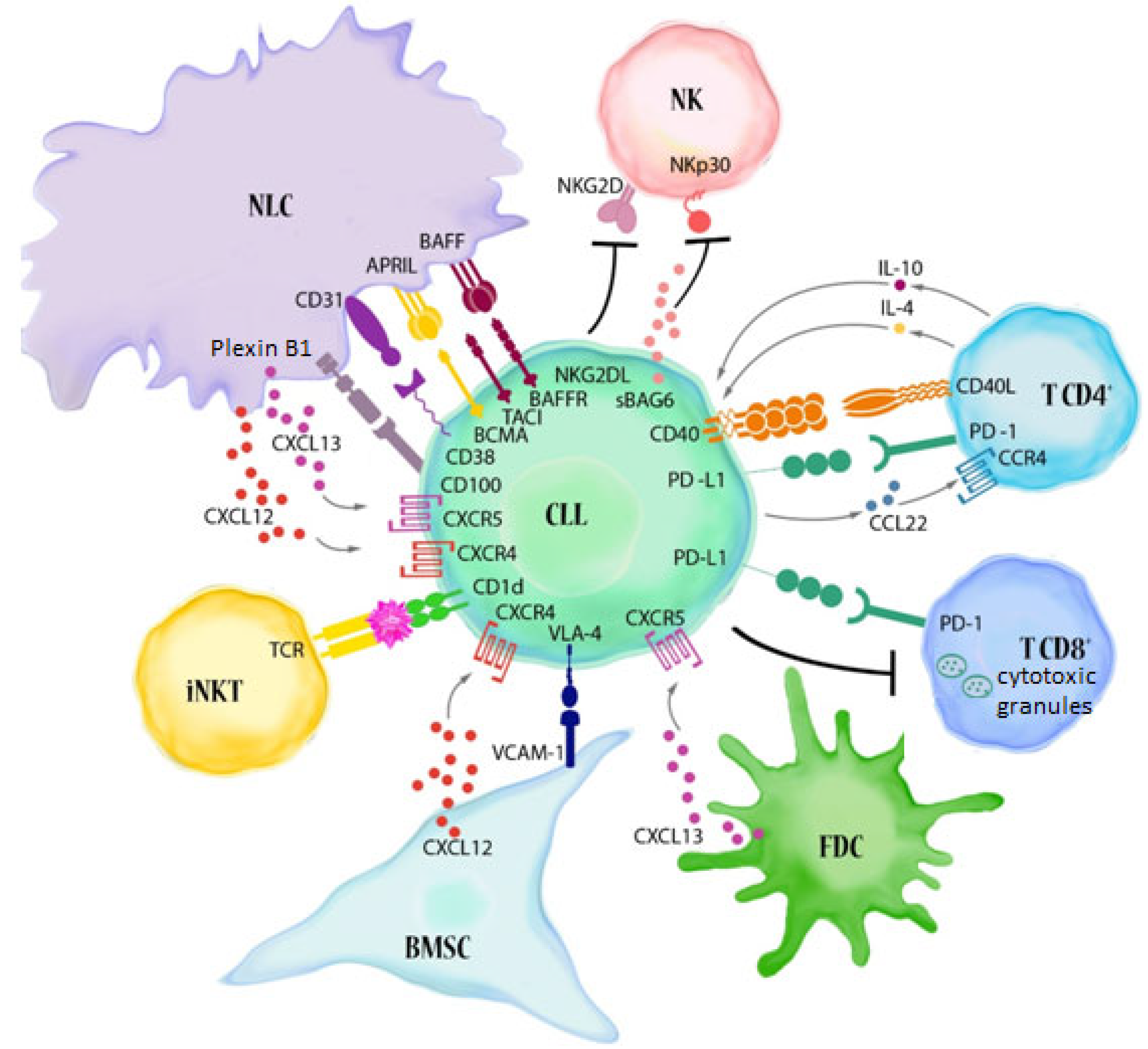 Cells 11 00661 g001 Cells 11 00661 g001